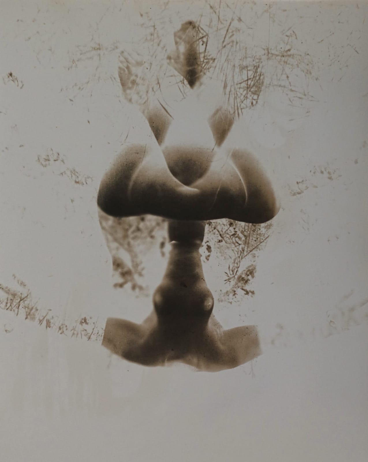 Minayoshi Takada Double Exposure Nude And Grass C Michael