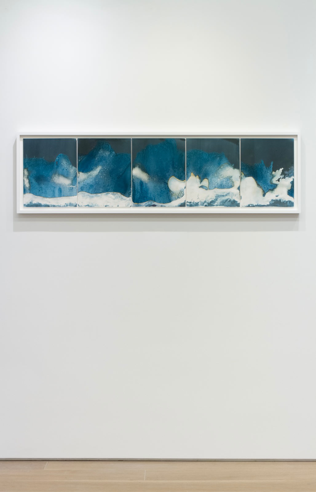 Meghann Riepenhoff Adaptive Radiation 2 Bikini Atoll Marshall