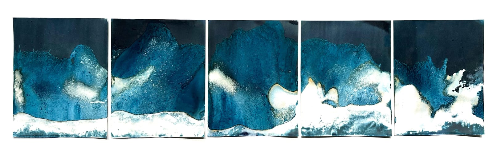 Meghann Riepenhoff Adaptive Radiation 2 Bikini Atoll Marshall