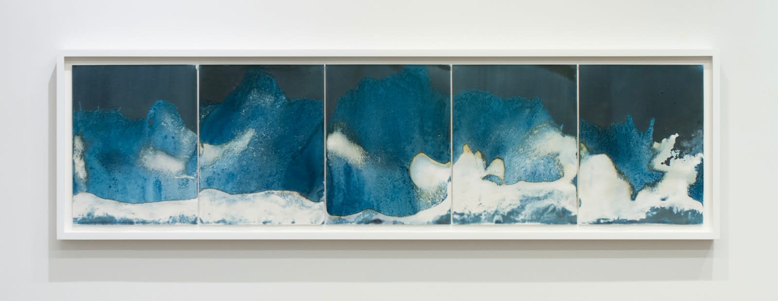 Meghann Riepenhoff Adaptive Radiation Bikini Atoll Marshall