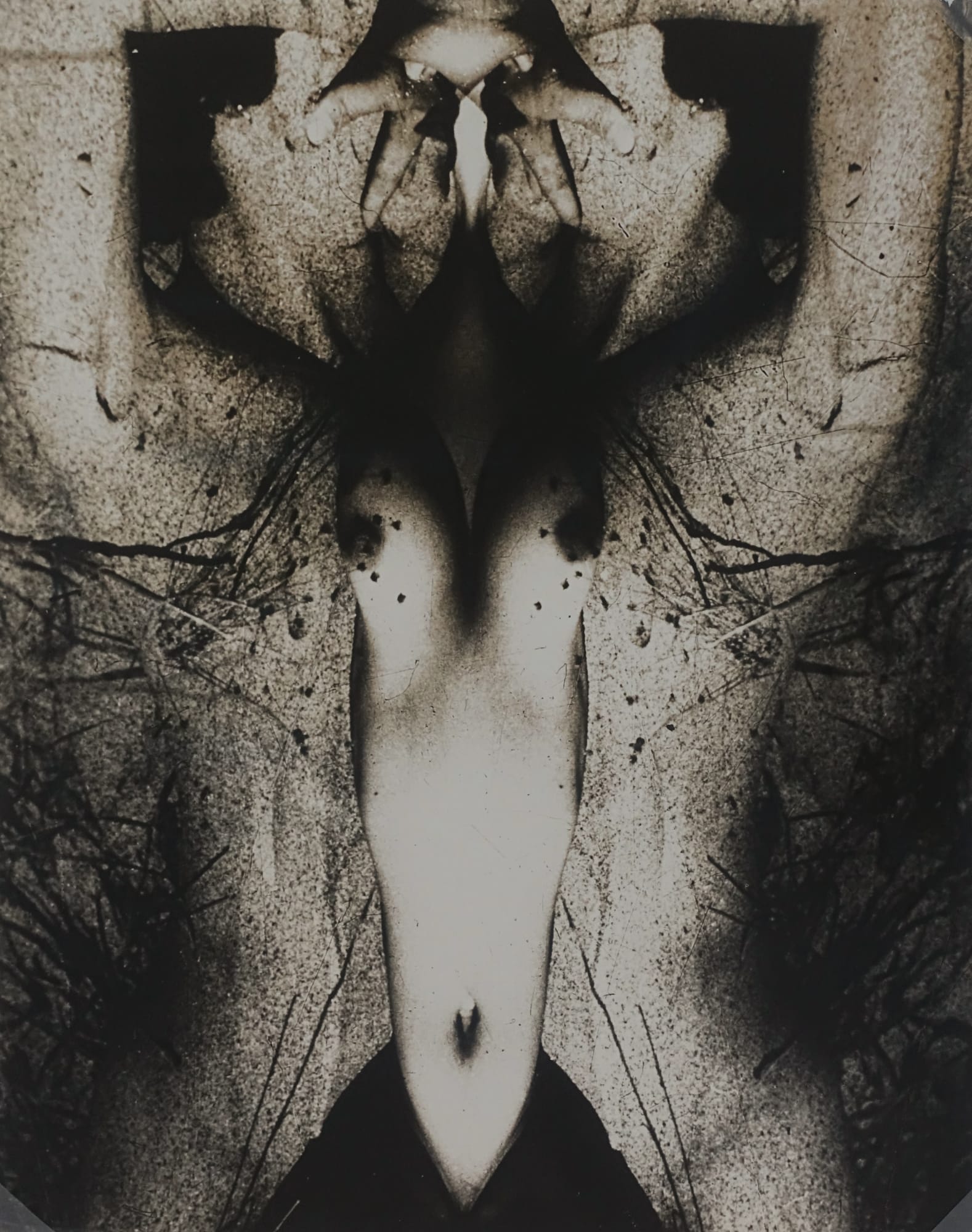 Minayoshi Takada Nude Abstraction C Michael Hoppen Gallery