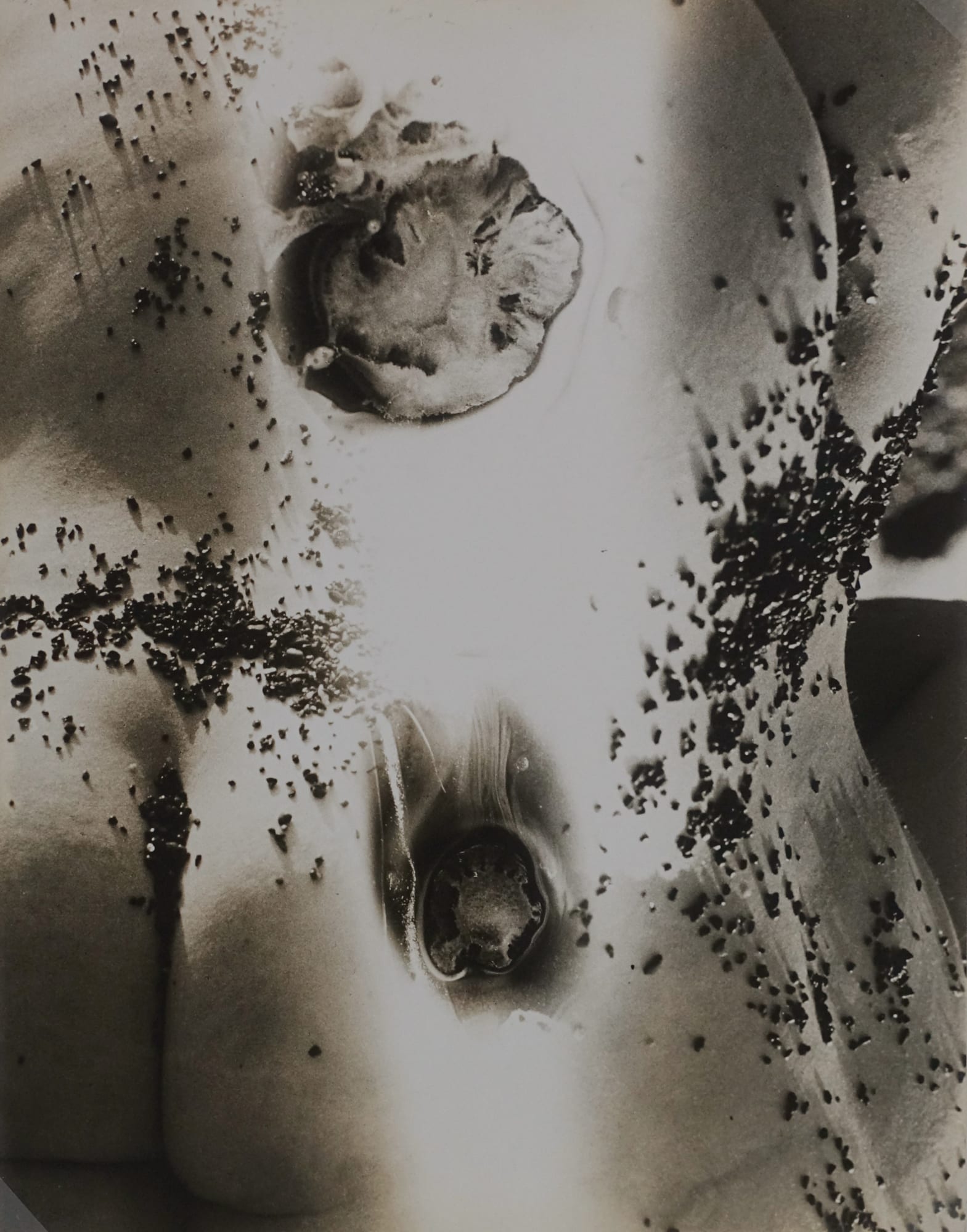 Minayoshi Takada Double Exposure Nude And Abstract C Michael