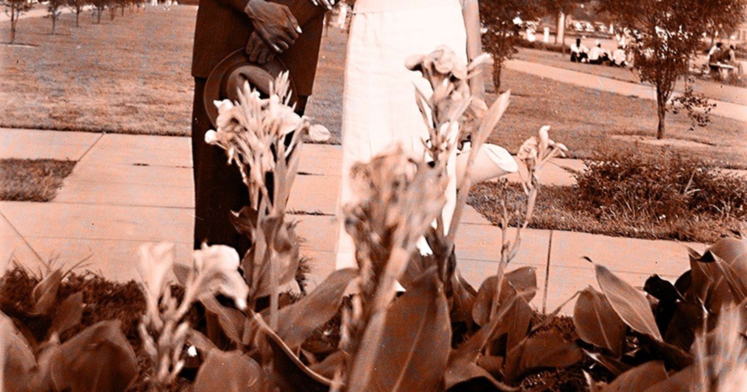 Shanequa Gay X James Battle We Are Gathered Together 1930s 2024