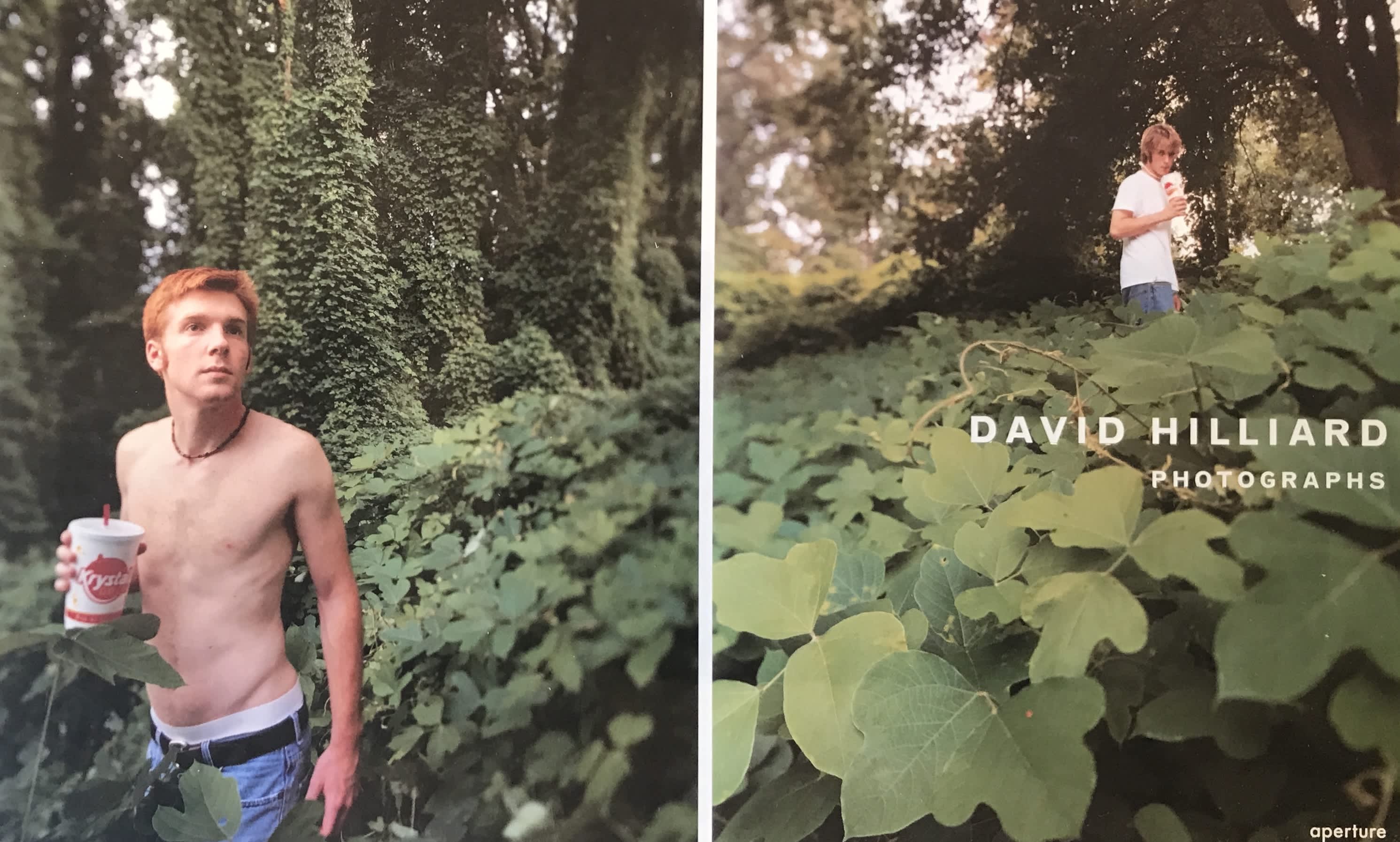 贈る結婚祝い David Publication: Hilliard: Art Fine Jackson | Photographs アート・デザイン・音楽