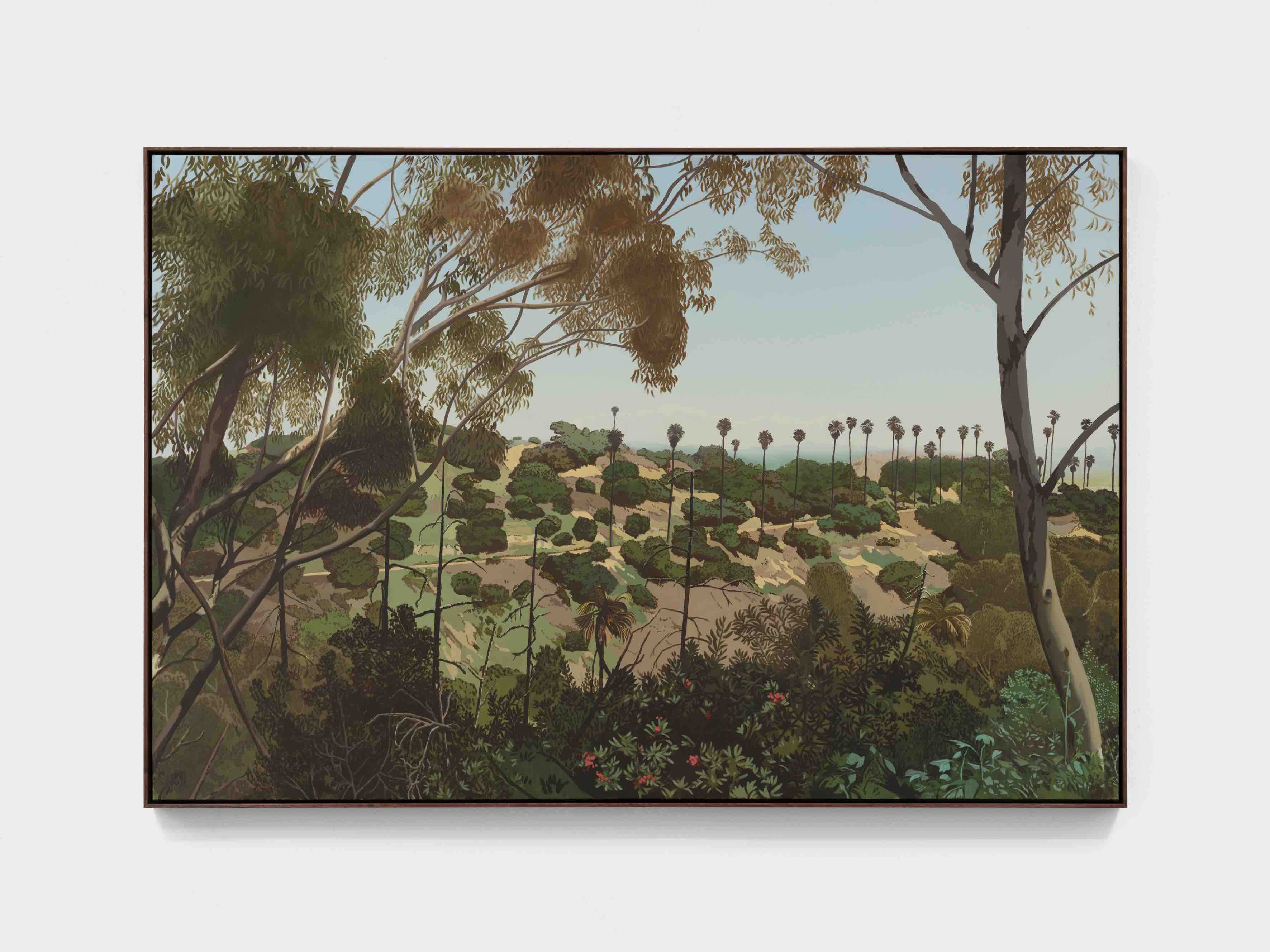California Landscapes