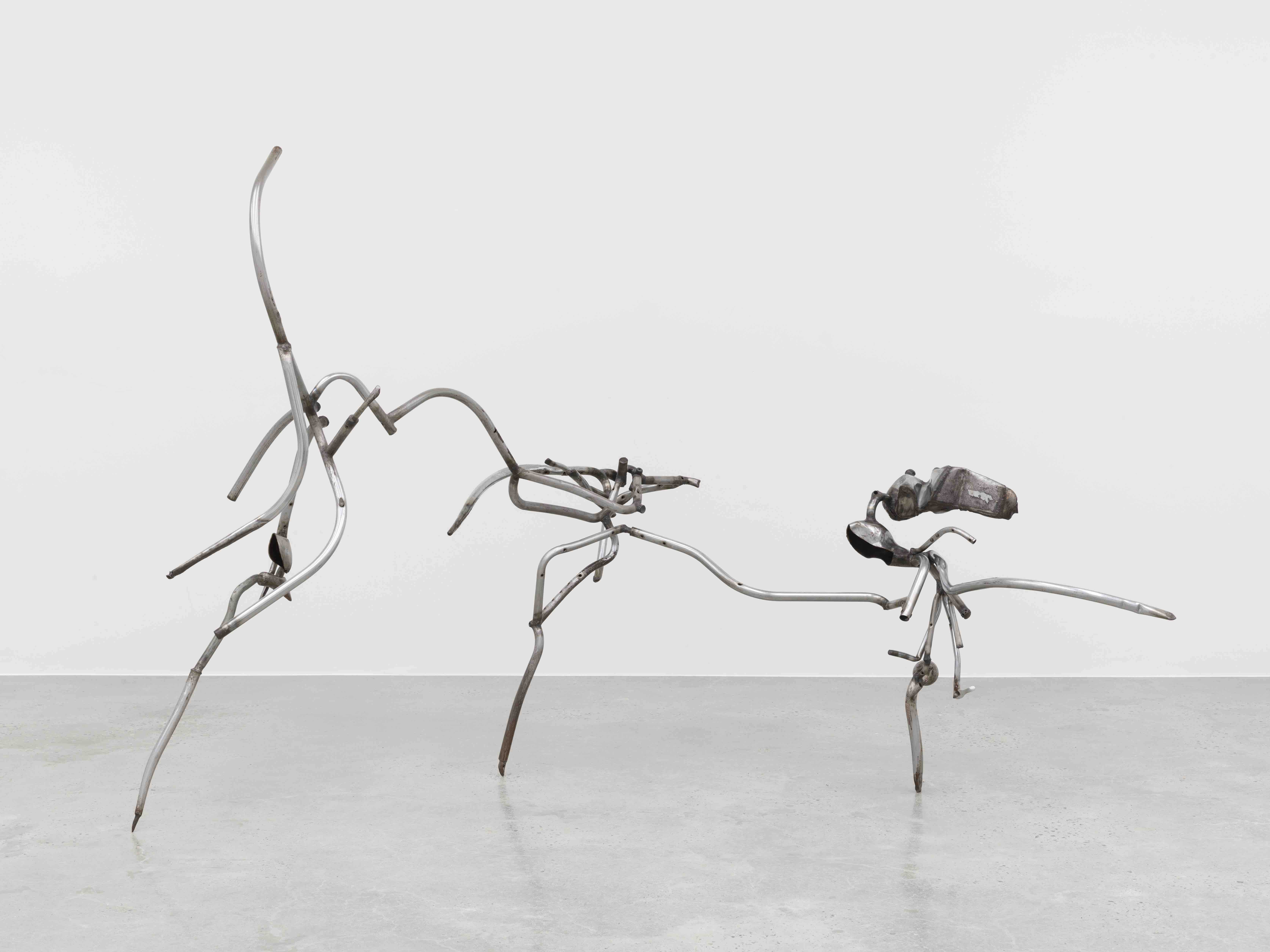 Metamorphosis
