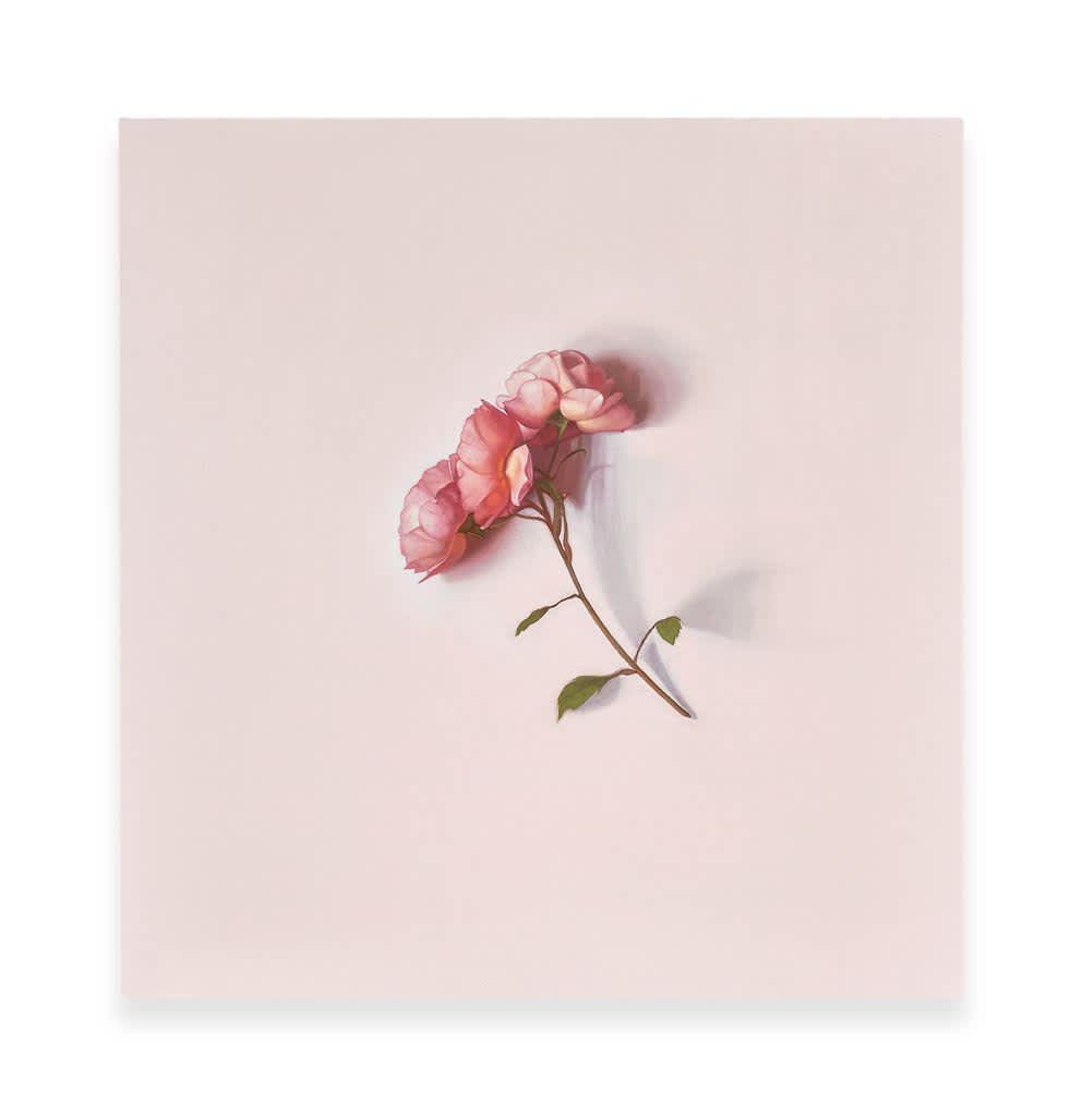 Alison Watt