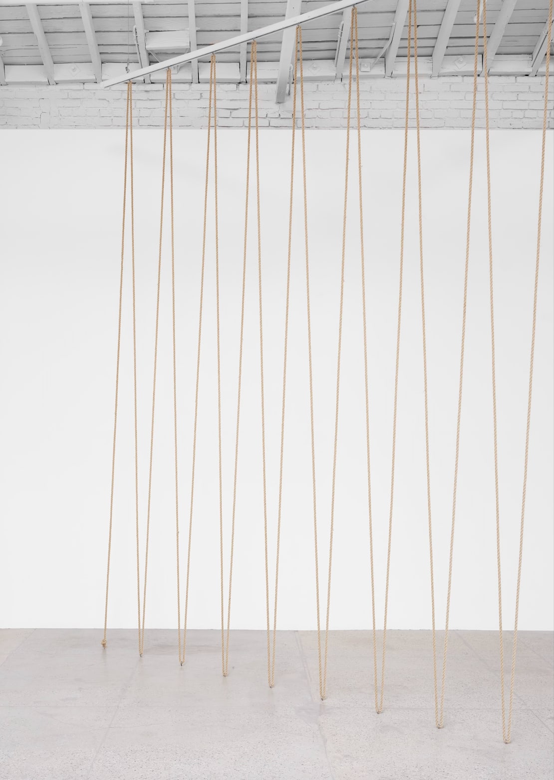 Leonor Antunes discrepancies with W.W., 2025 Hemp ropes Dimensions variable