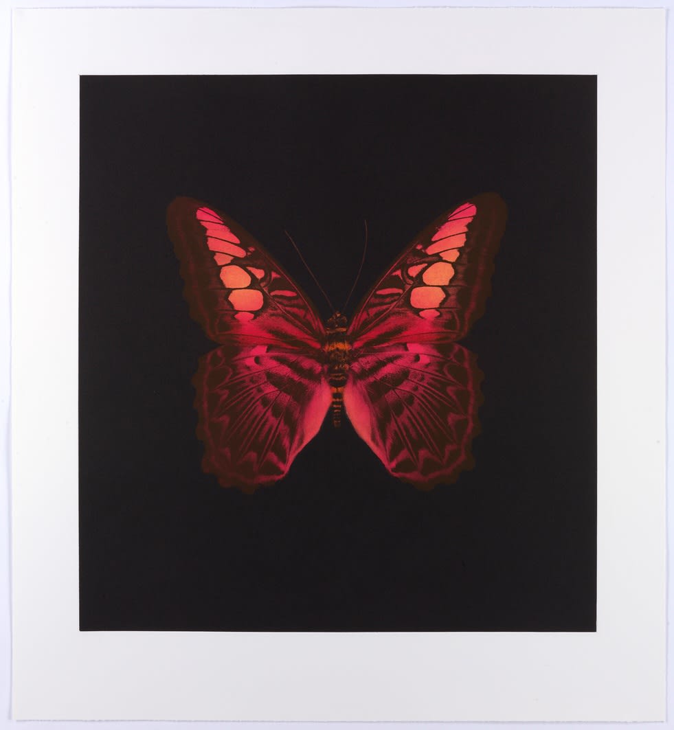 Damien Hirst red butterly artwork