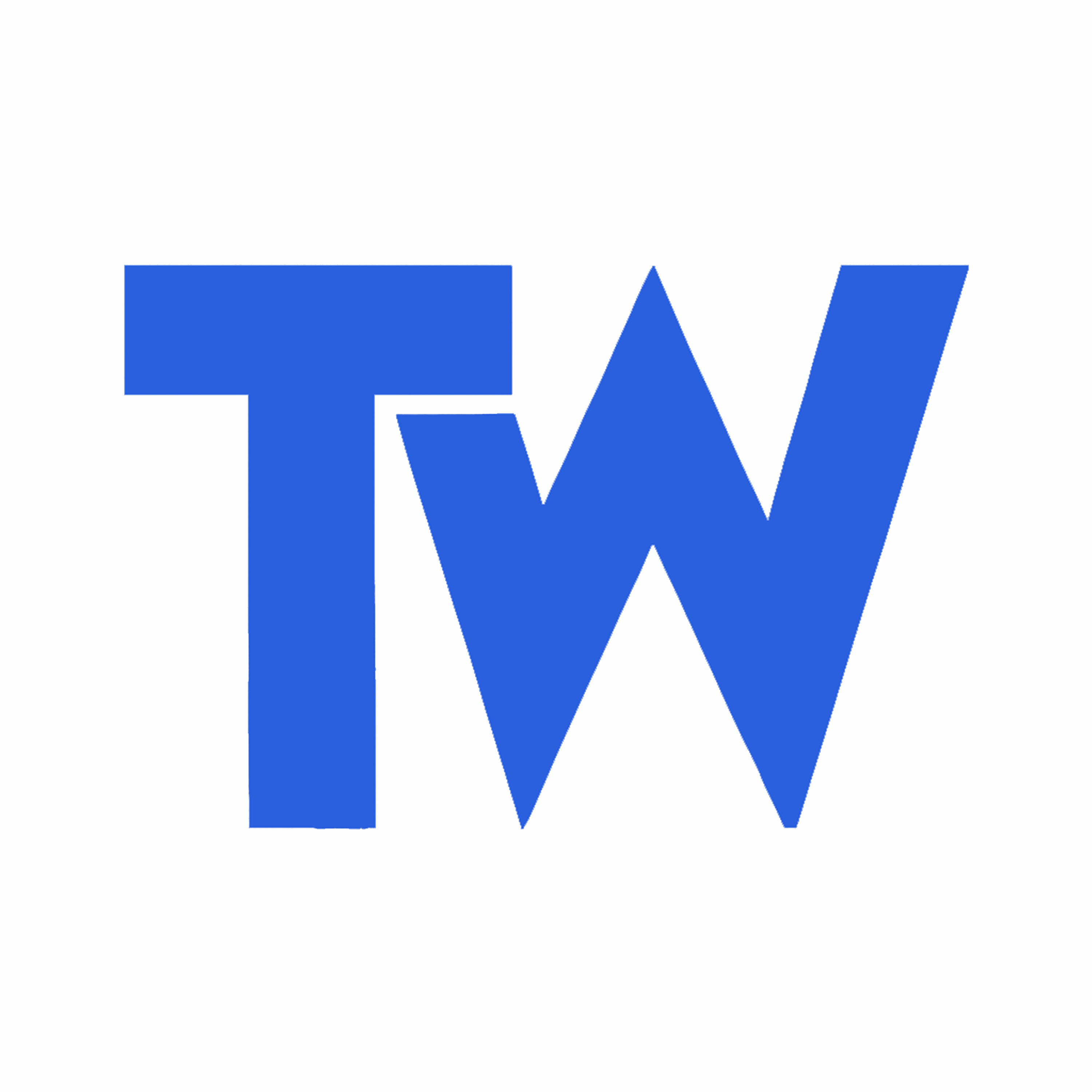 TW Fine Art  company logo