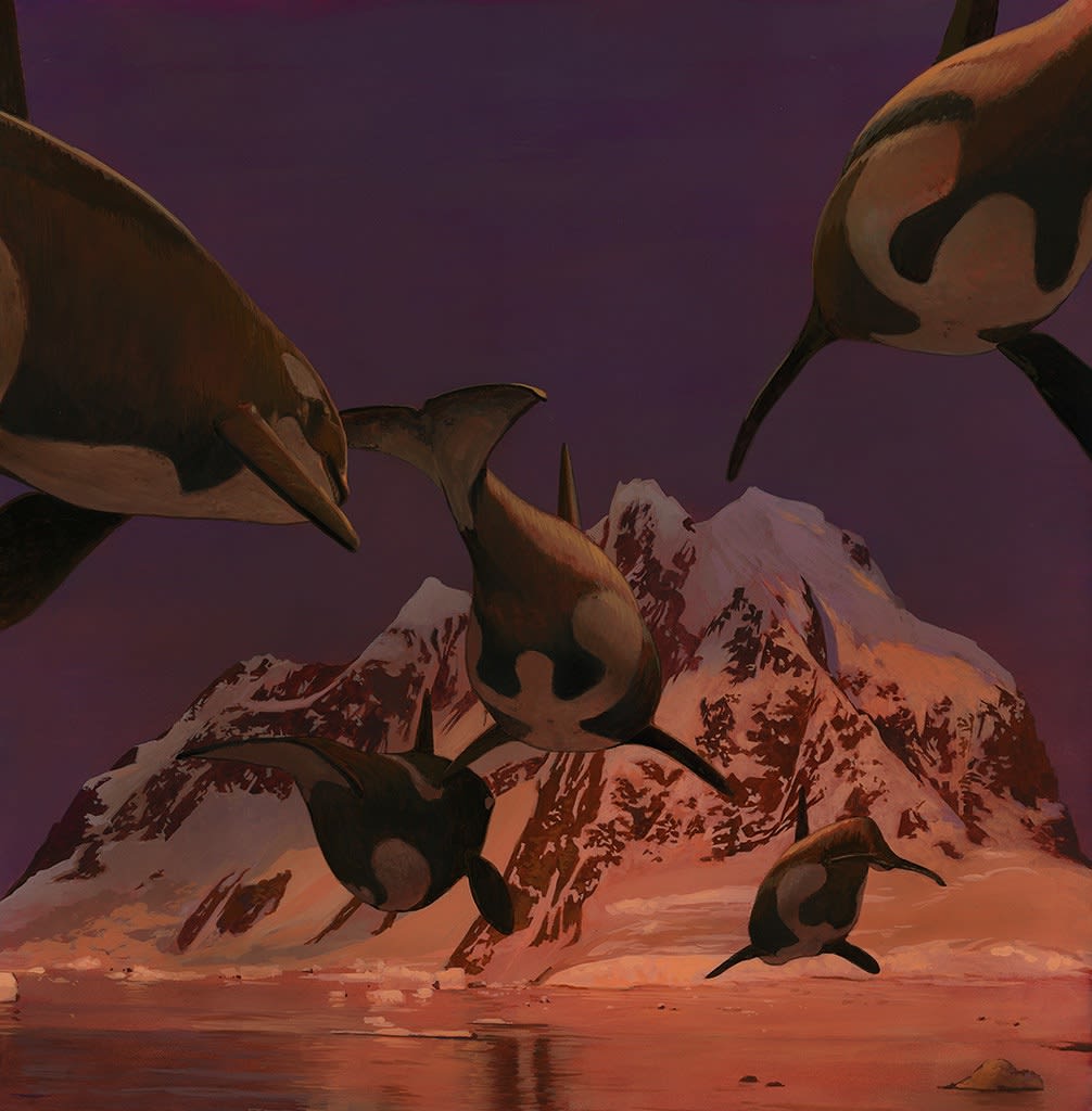 whales flying towards a mountain