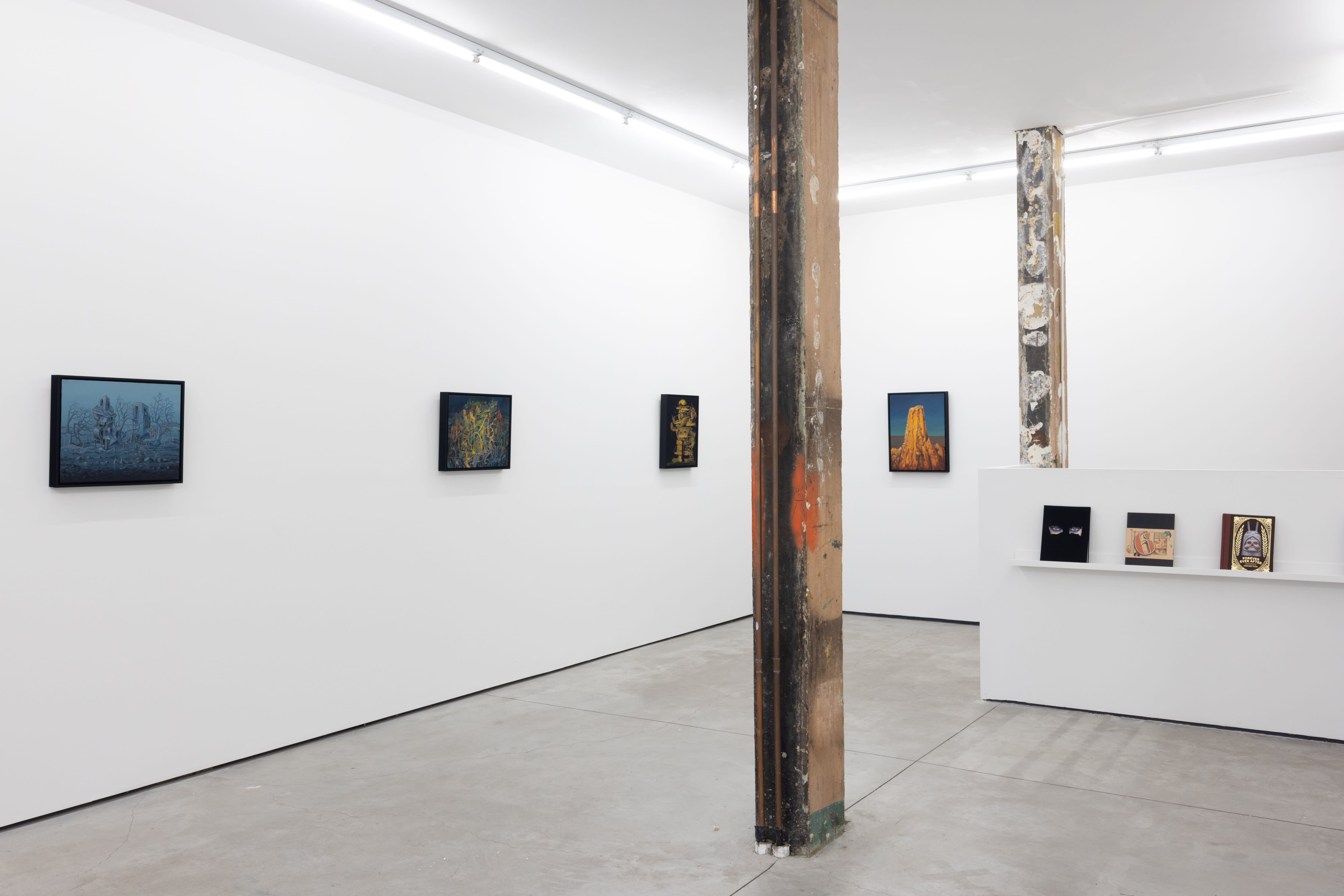 Installation of David Welker's solo exhibition 