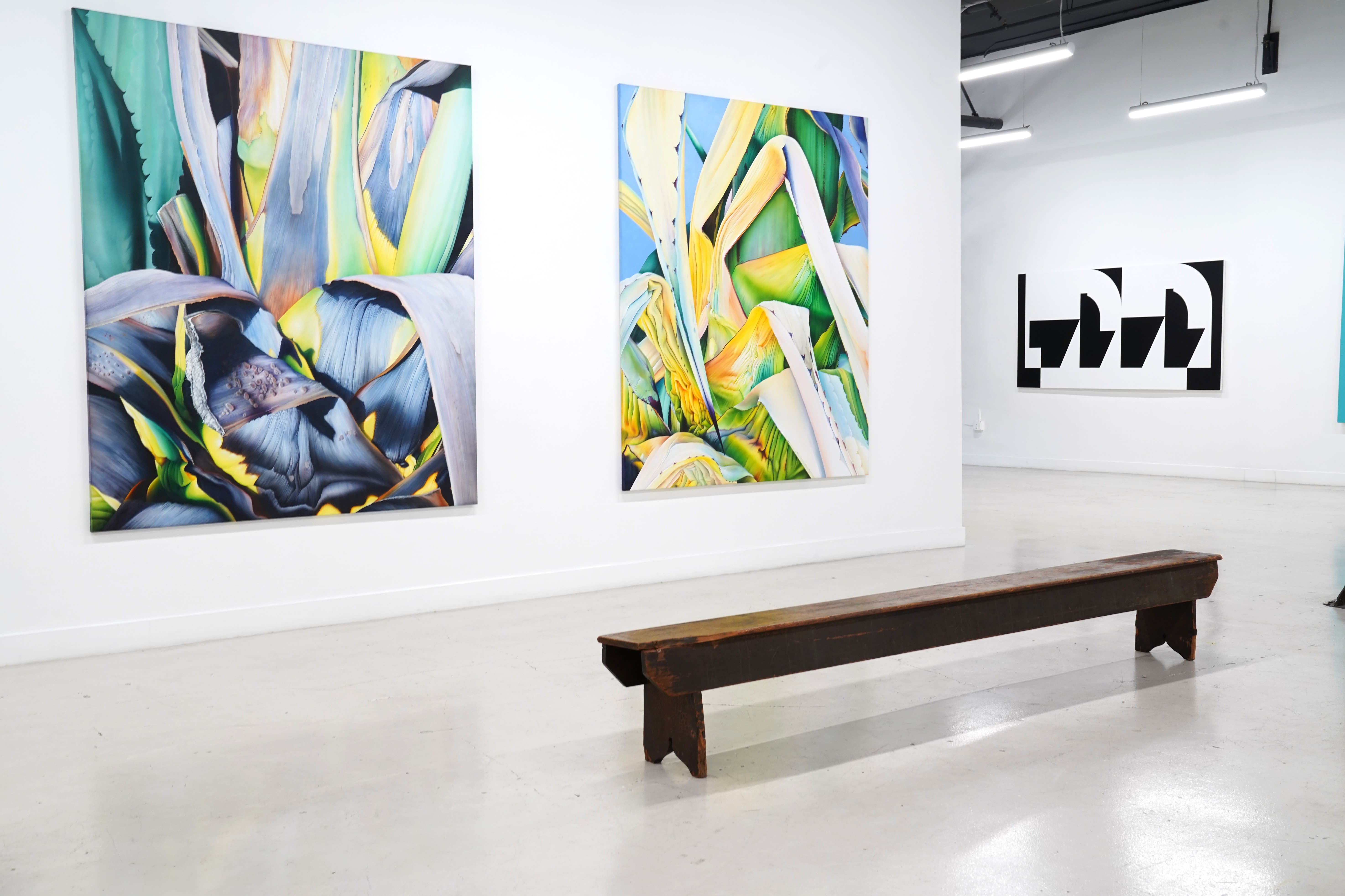 installation image of Adele Renault and Chad Hasegawa paintings in the gallery