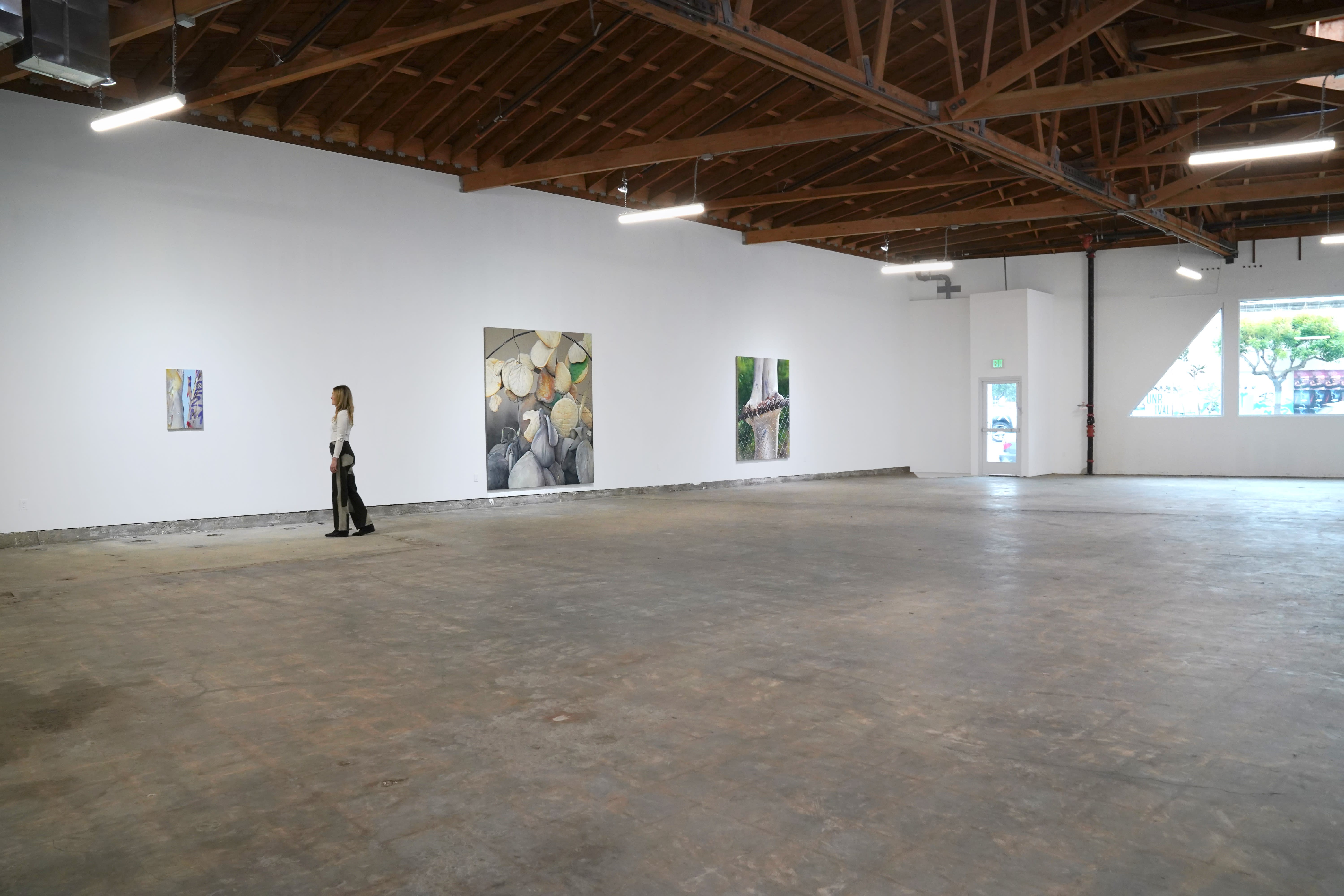 photo of the gallery with paintings hangiing on the wall