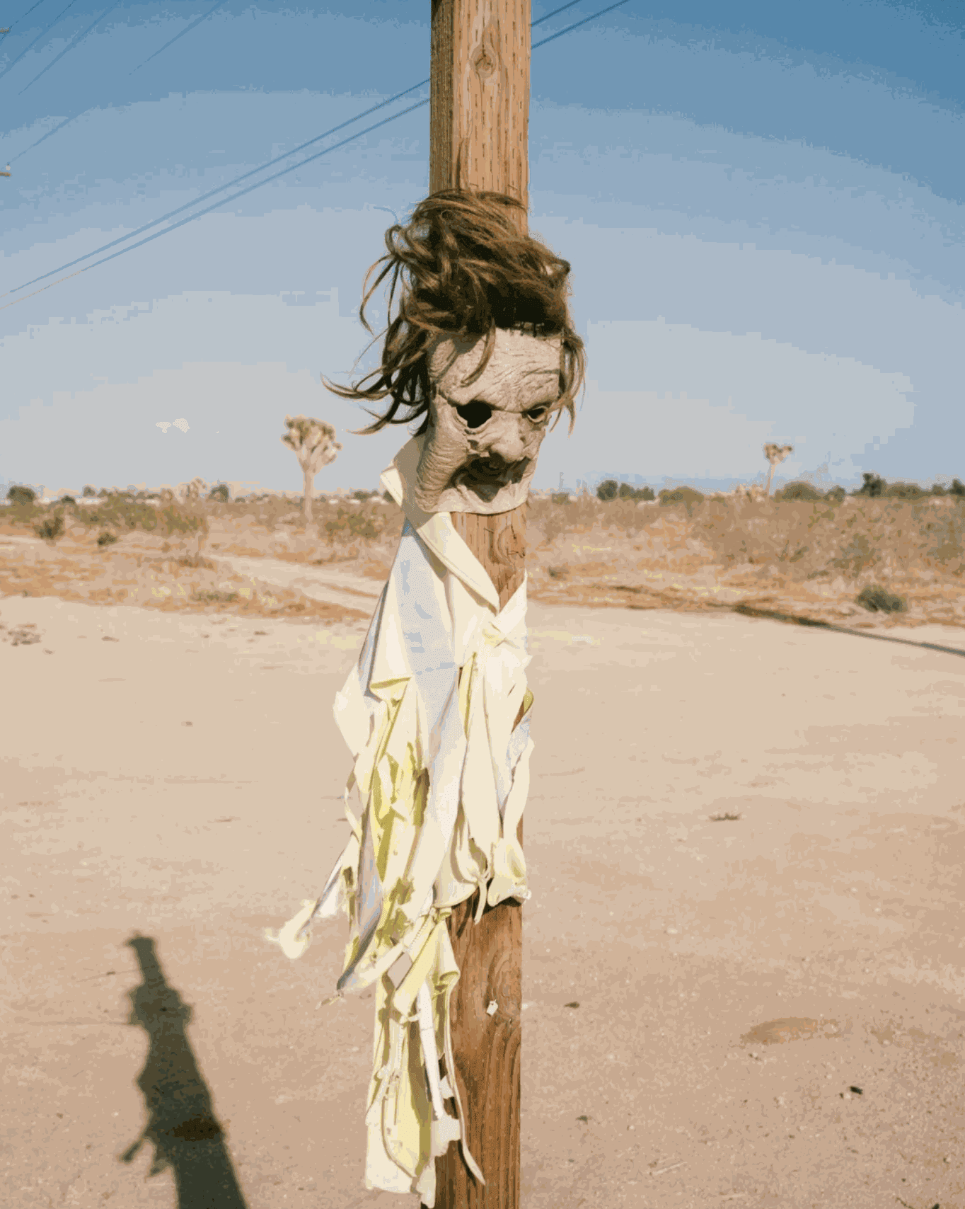 photo of a mask on a pole with a tshirt