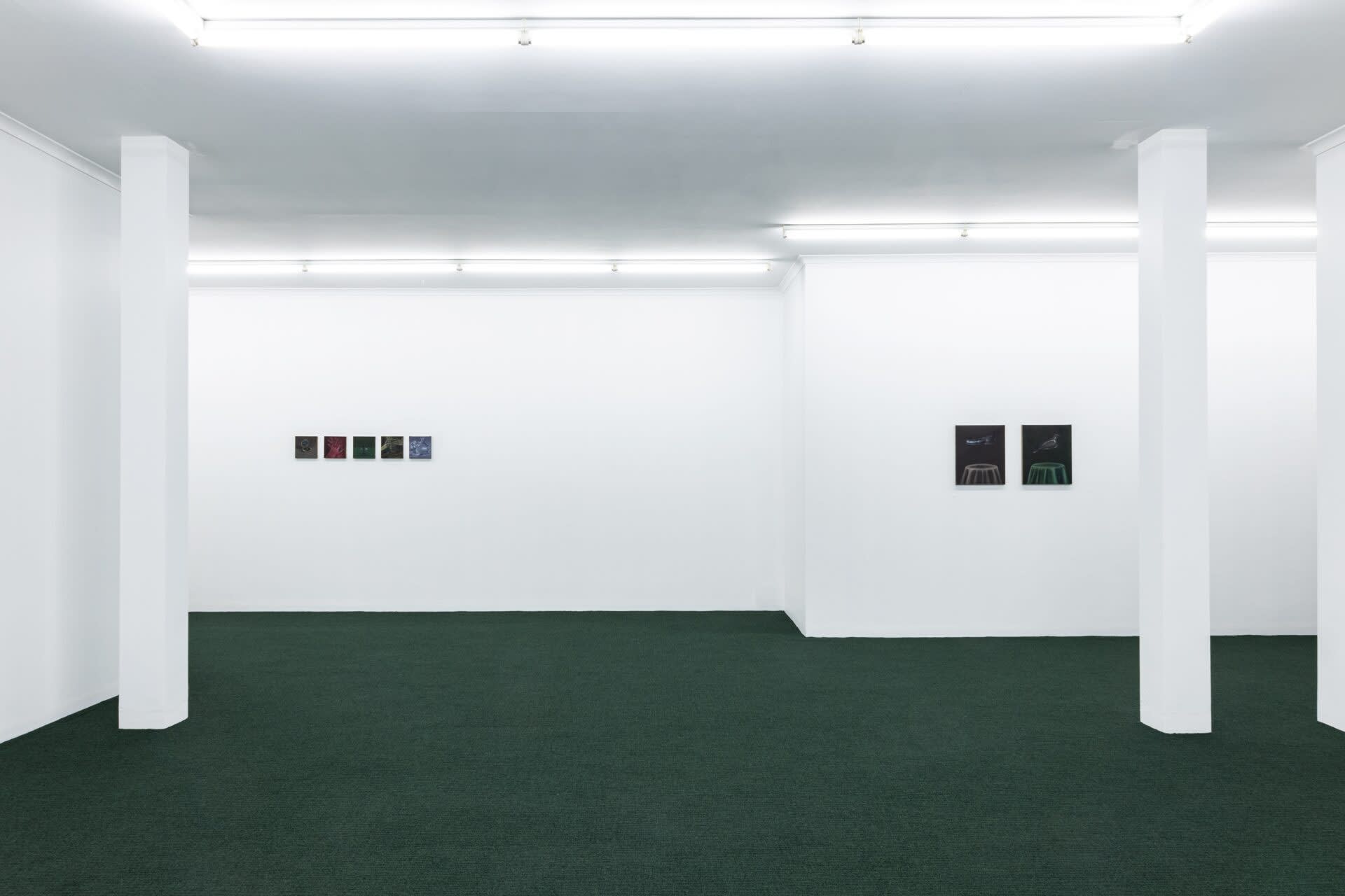 Mia Middletone A Green Glass Eye Installation View