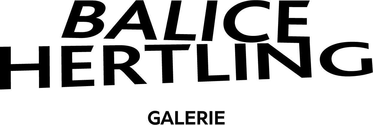 Galerie Balice Hertling company logo