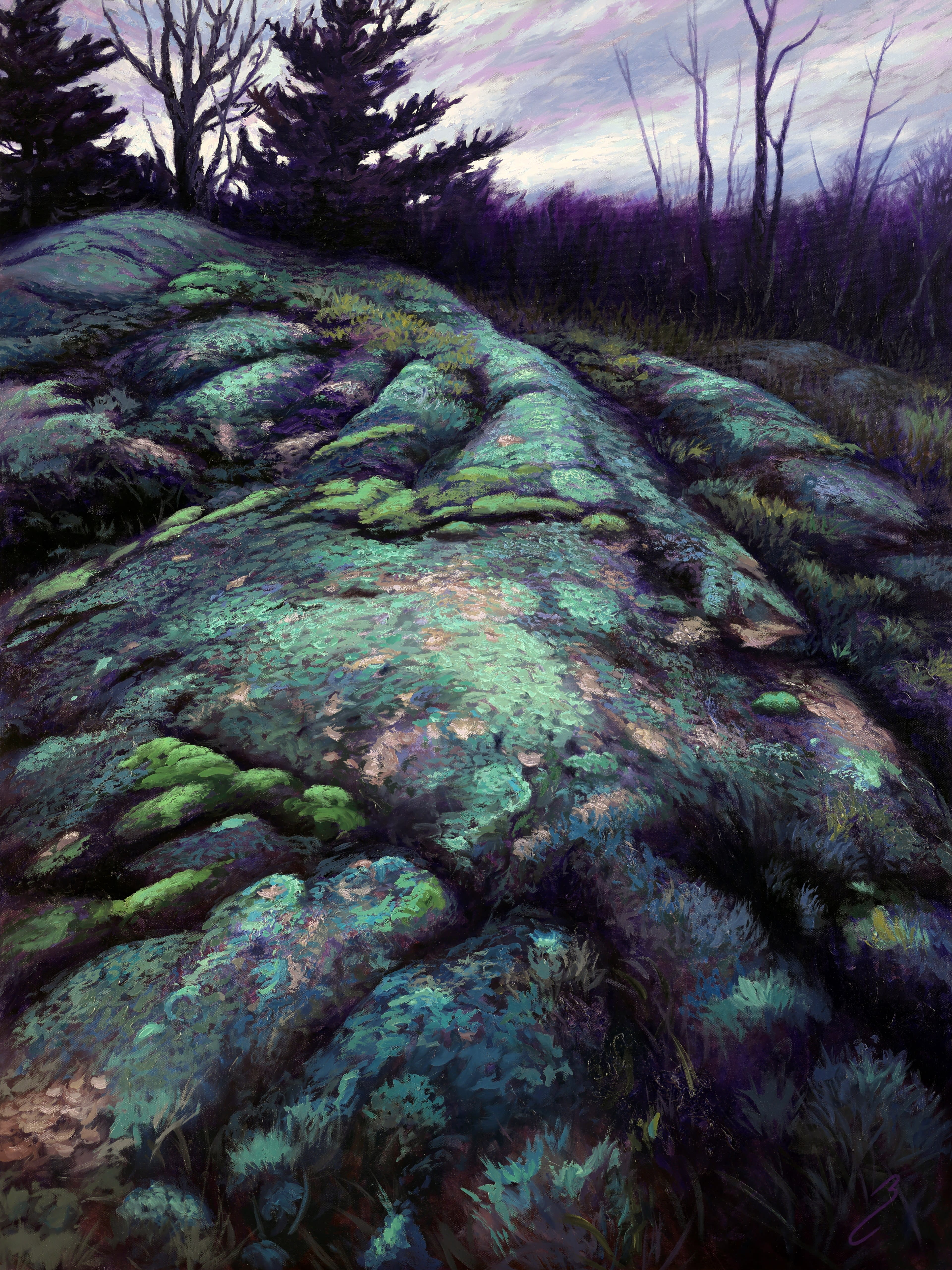 Bruno Capolongo; Northern Light