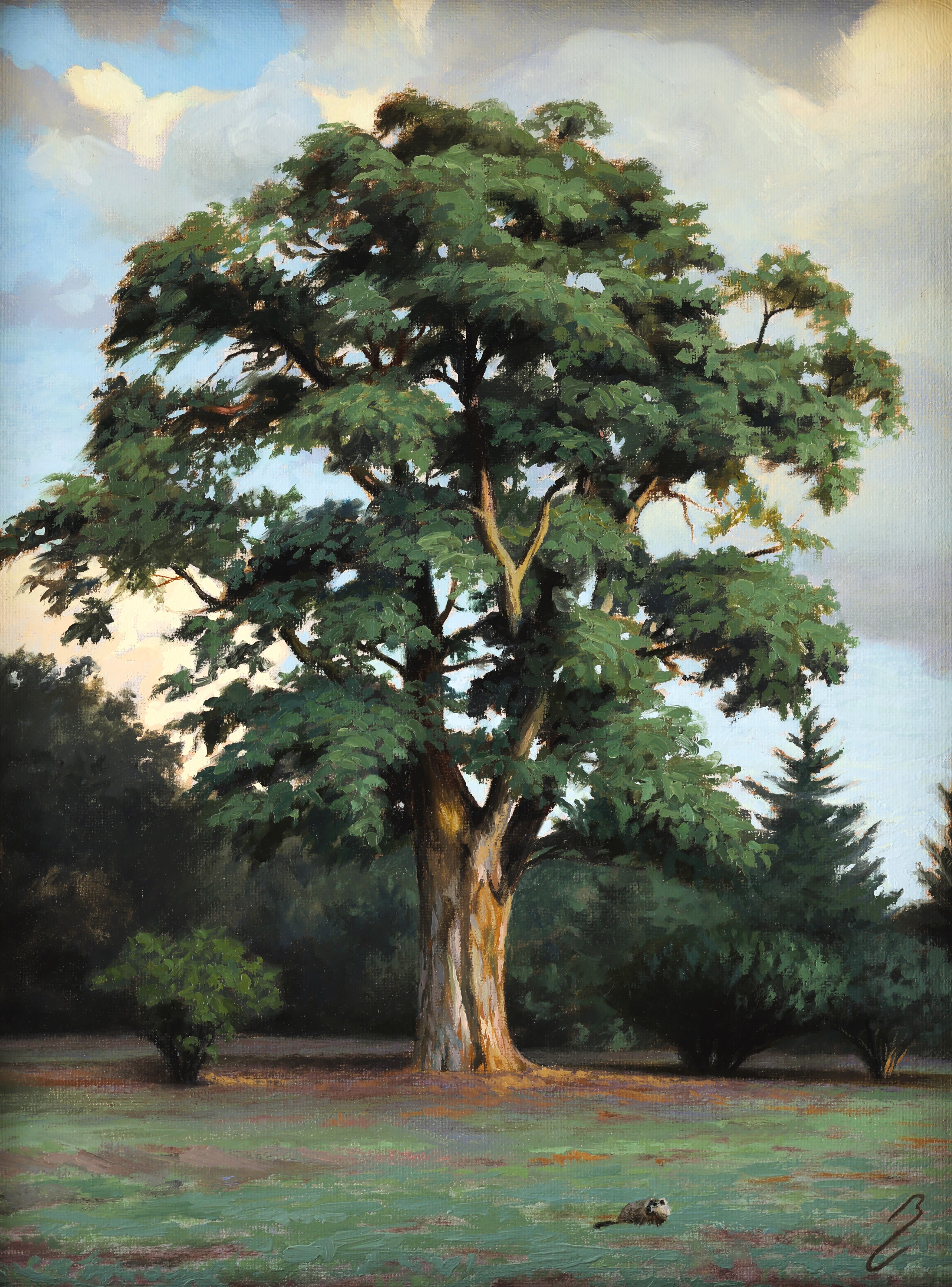 Bruno Capolongo; The Great Oak