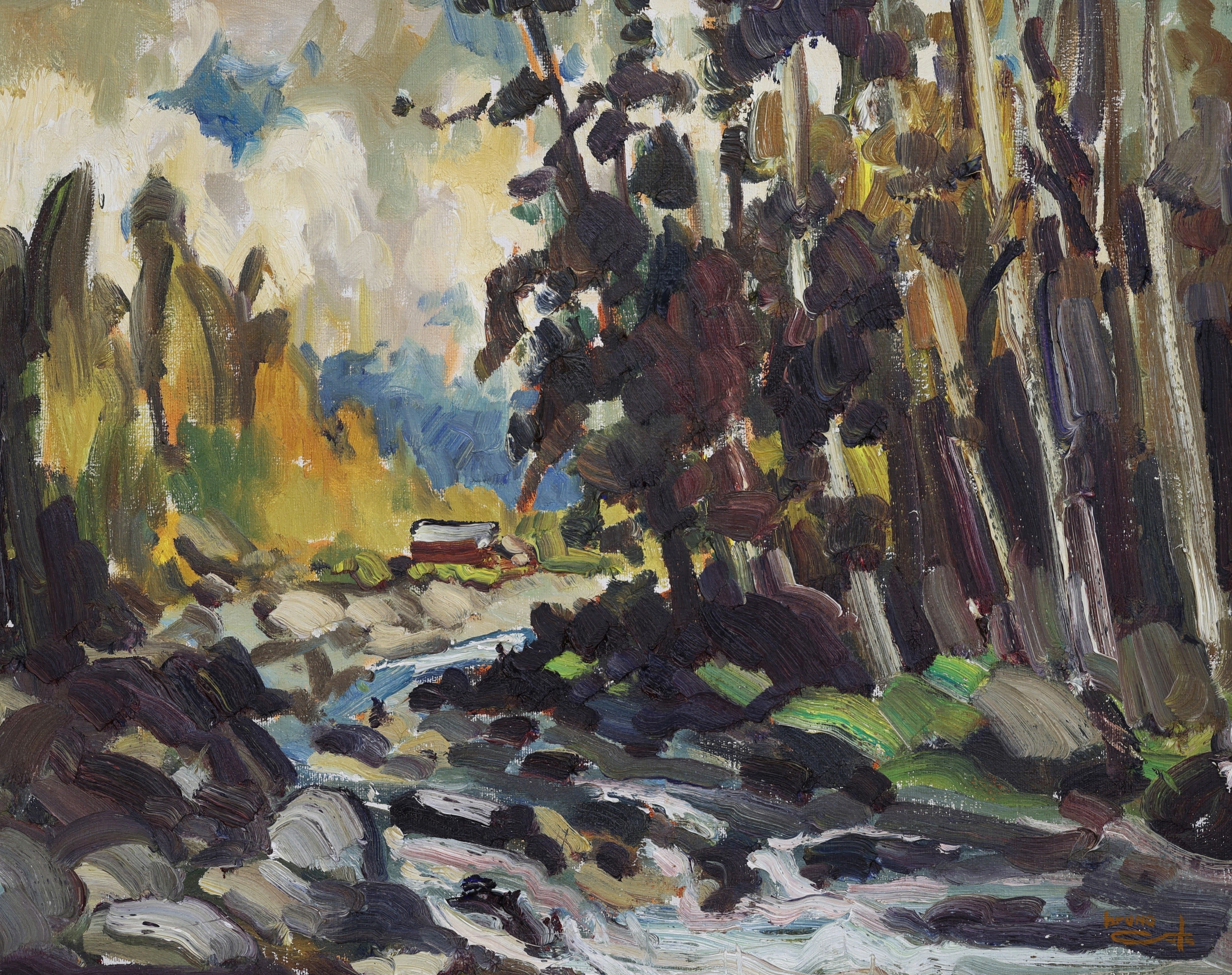 Bruno Cote; Ru A Legare, Cap Aux Oies