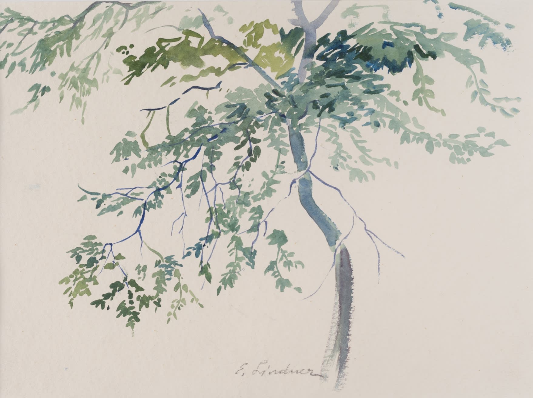Ernest Lindner; Young Tree