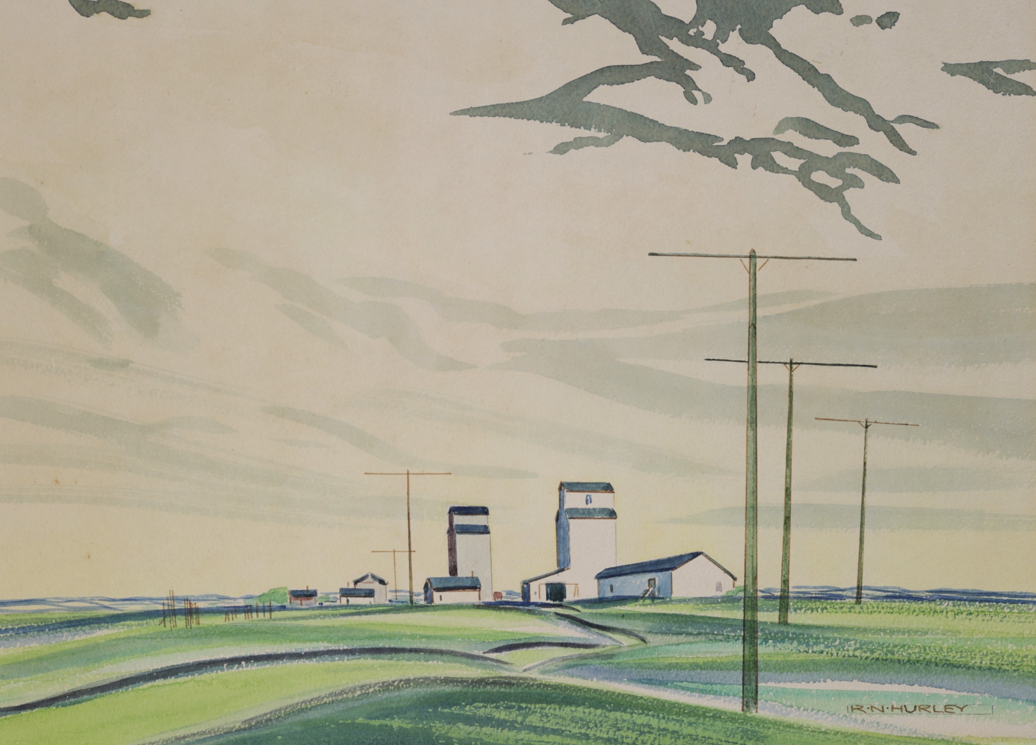 Robert Newton Hurley; Green Roofs & Fields 