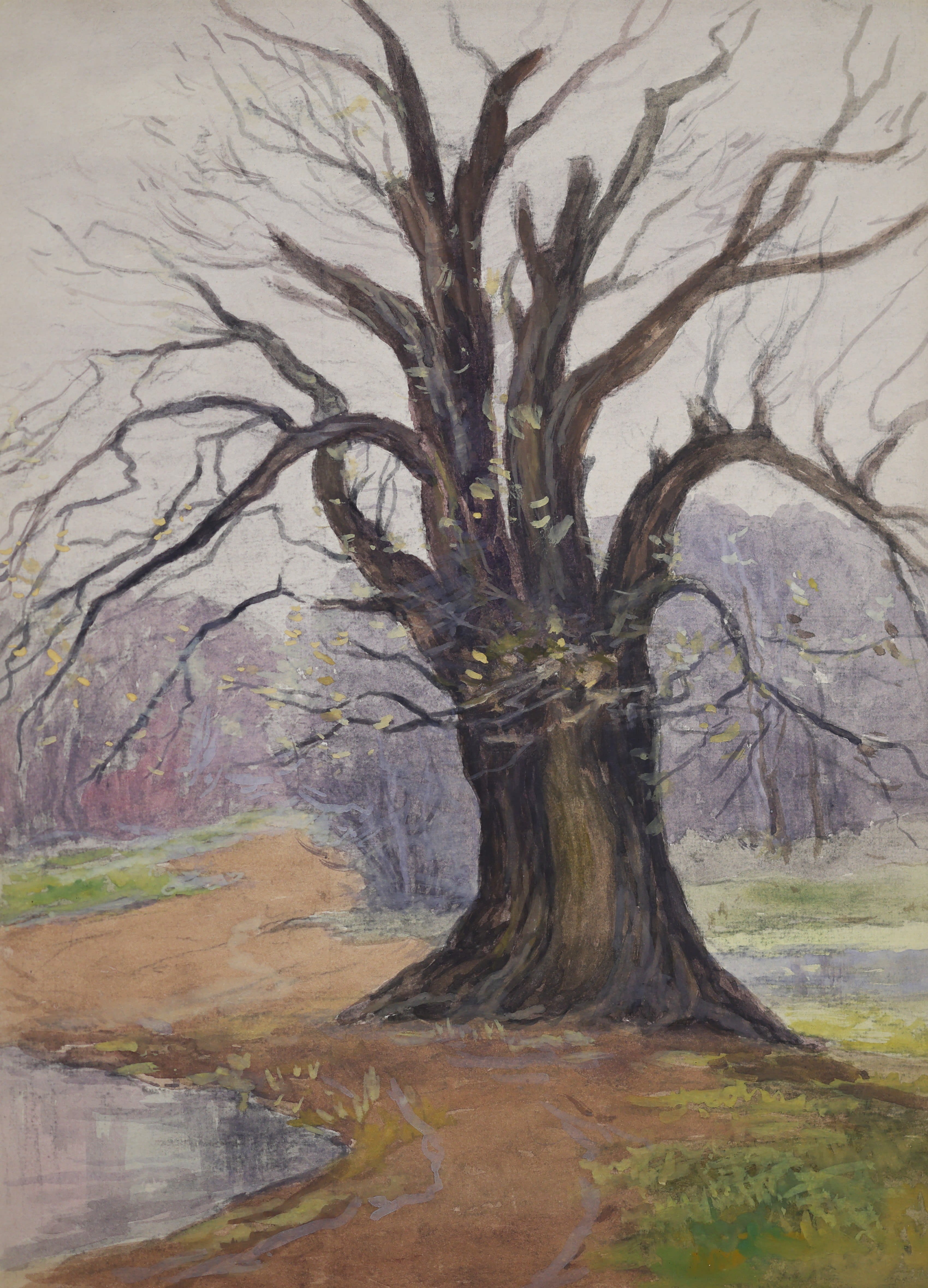 William Edwin Atkinson; Tree Study