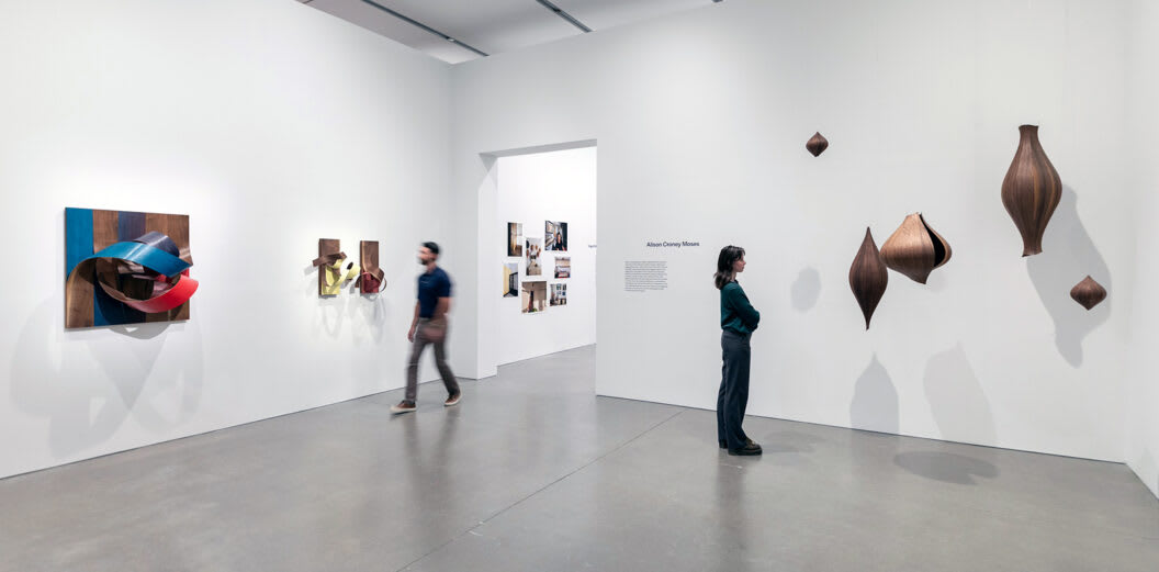 Alison Croney Moses Installation View