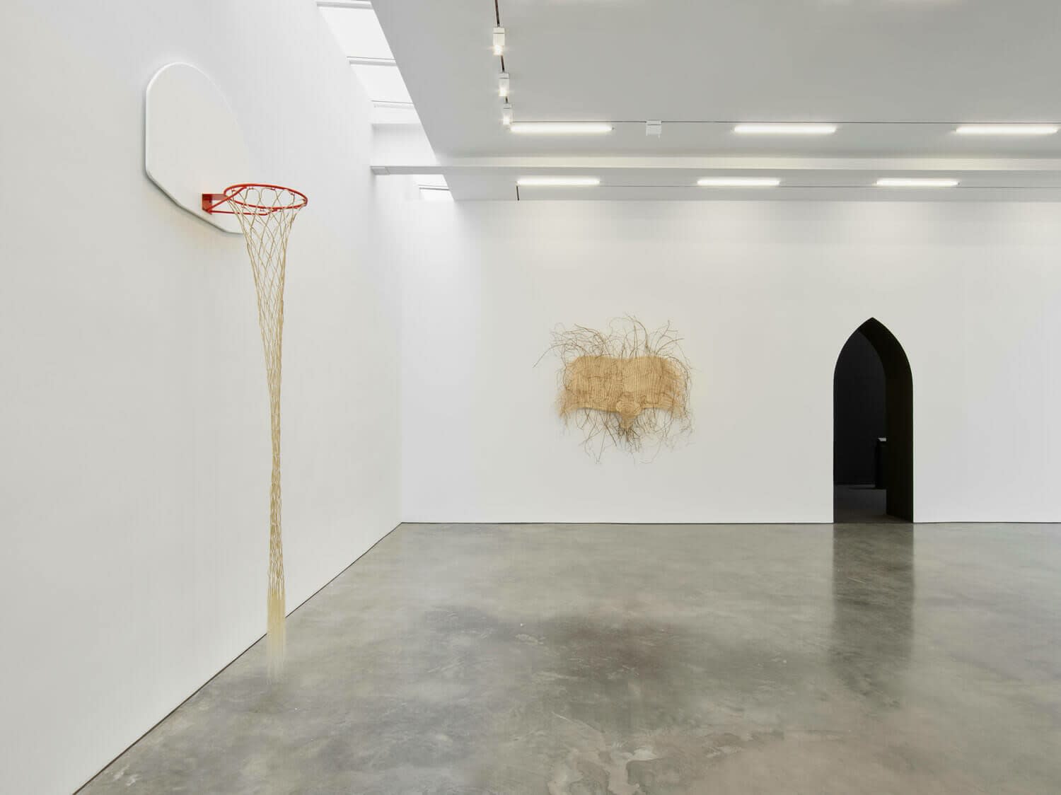 Hugh Hayden Rapunzel and Cinderella Installation View