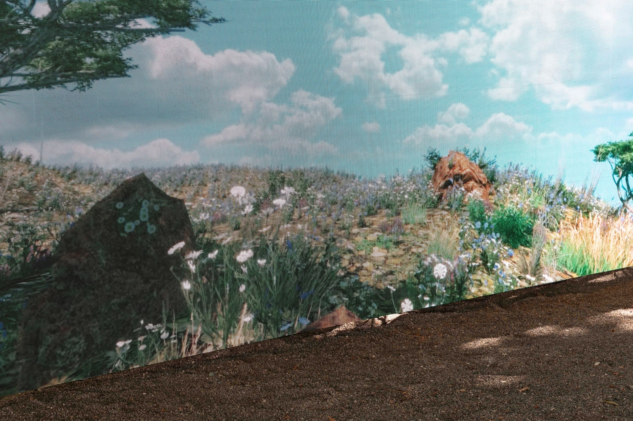 Petra Cortright, Brigade Gallery, Art Basel