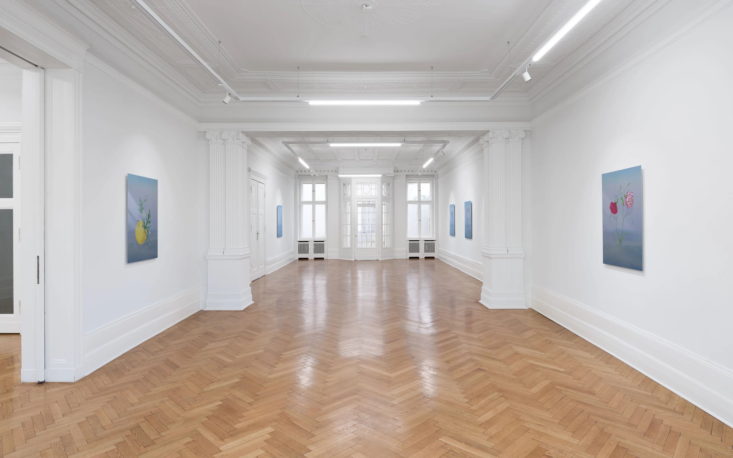 Petra Cortright, Brigade Gallery, Socété