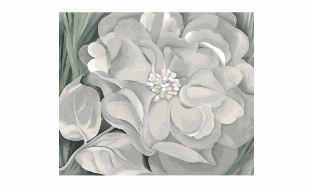 Georgia O'keeffe, The white Calico Flower, 1931, The Whitney Museum of American Art Collection