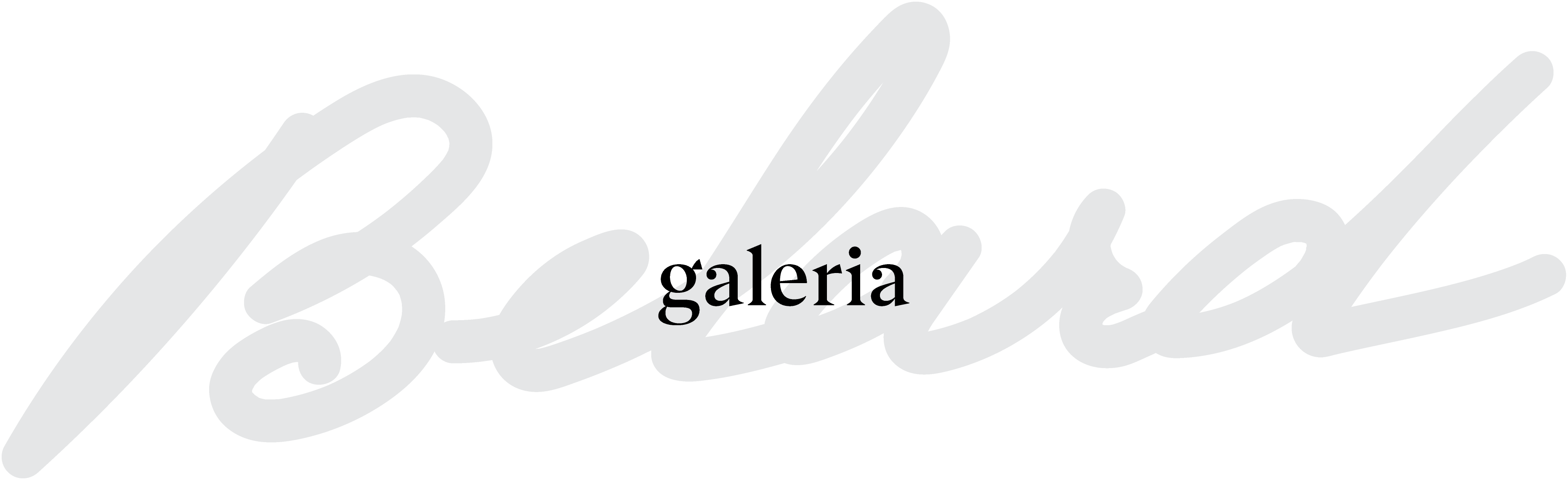 Galeria Belard company logo