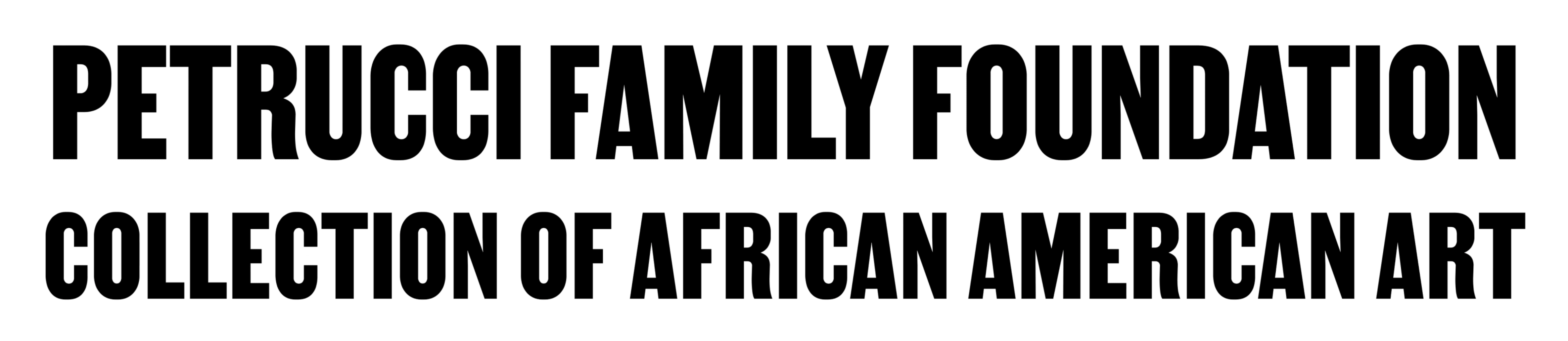 Petrucci Family Foundation Collection of African American Art company logo