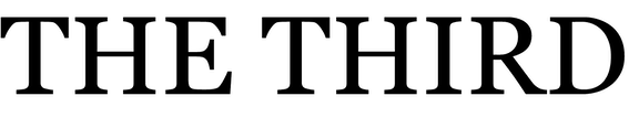 THE THIRD company logo