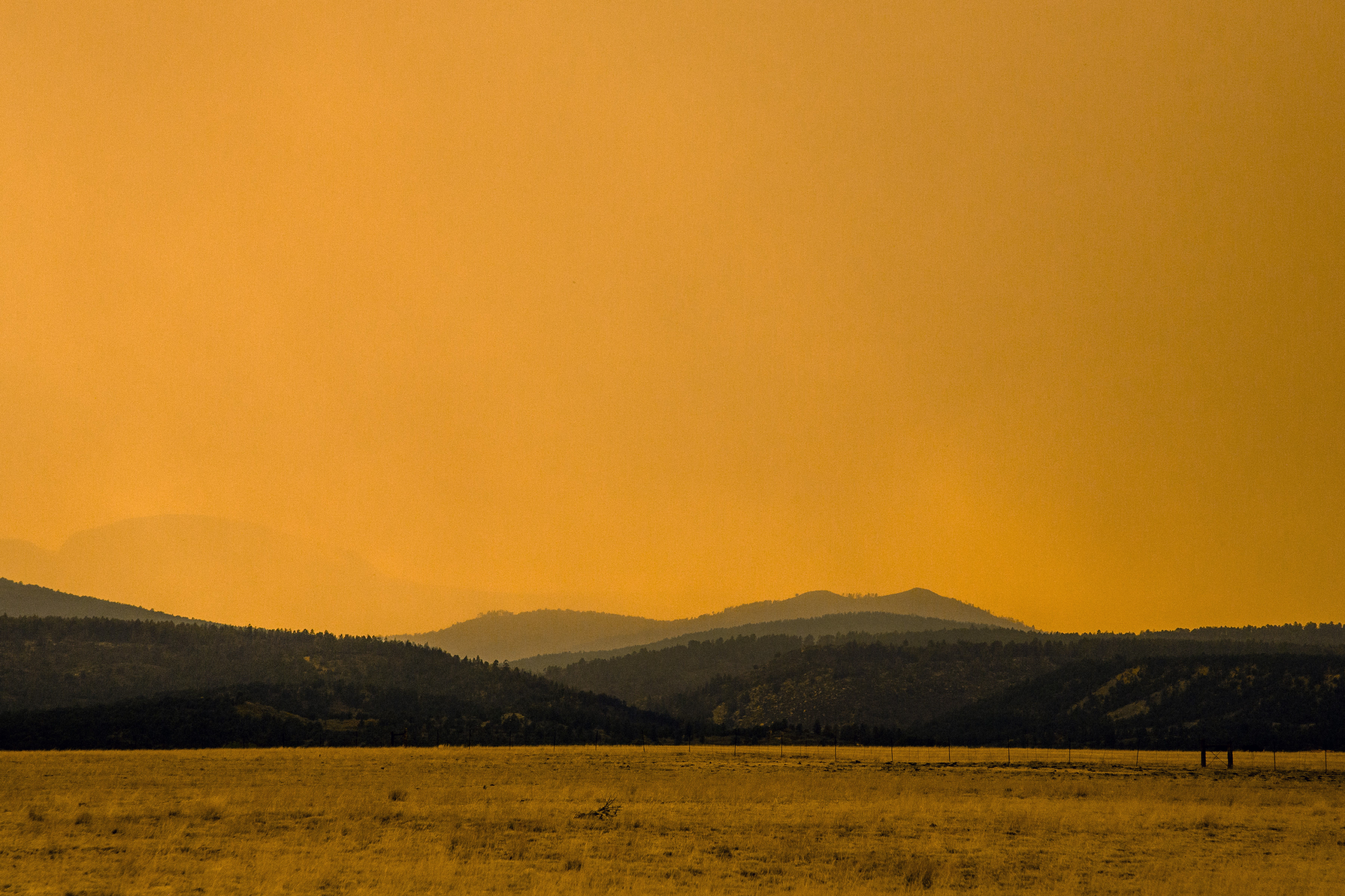 NM Wildfire Documentary Photograph by Eric Cousineau