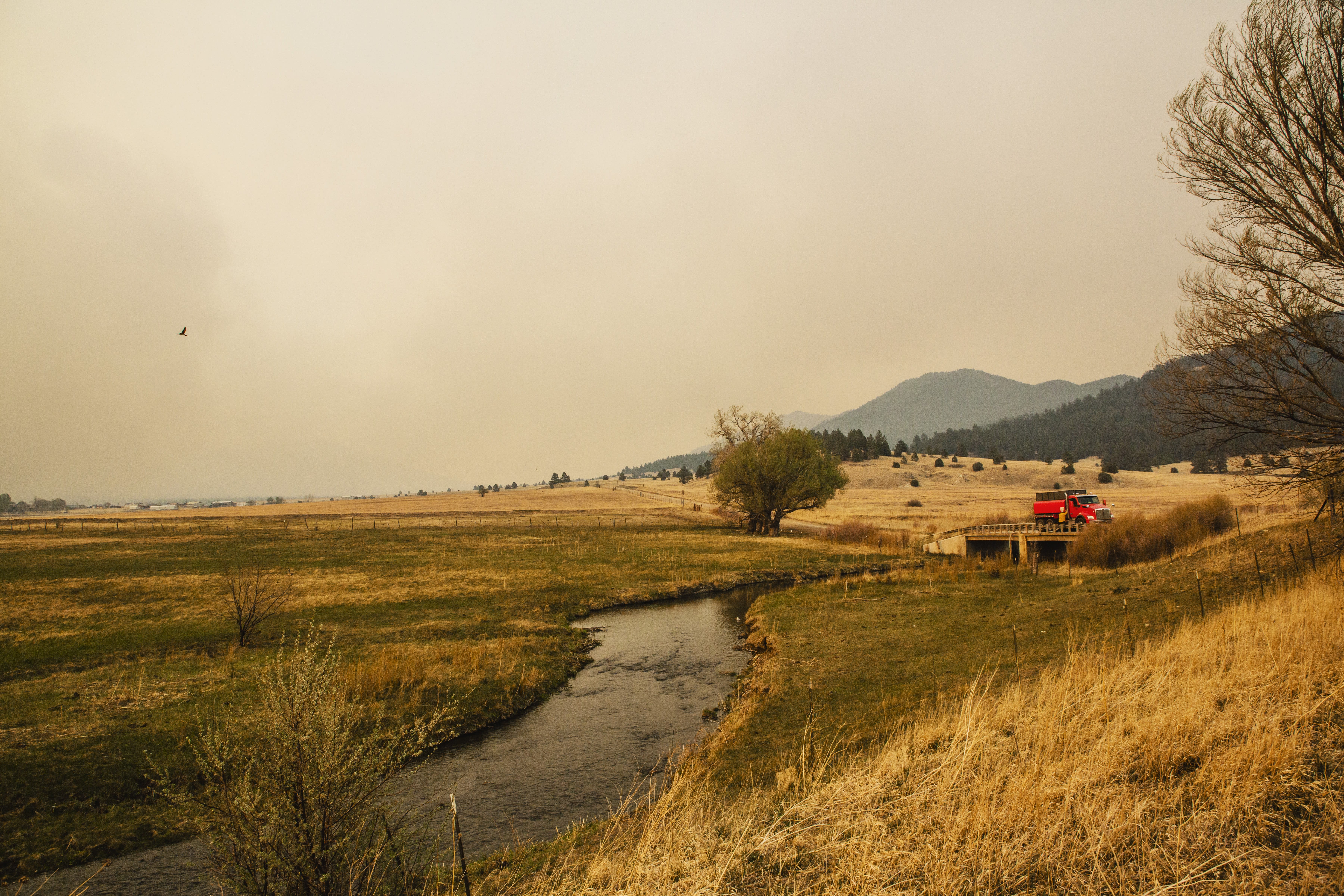 NM Wildfire Documentary Photograph by Eric Cousineau