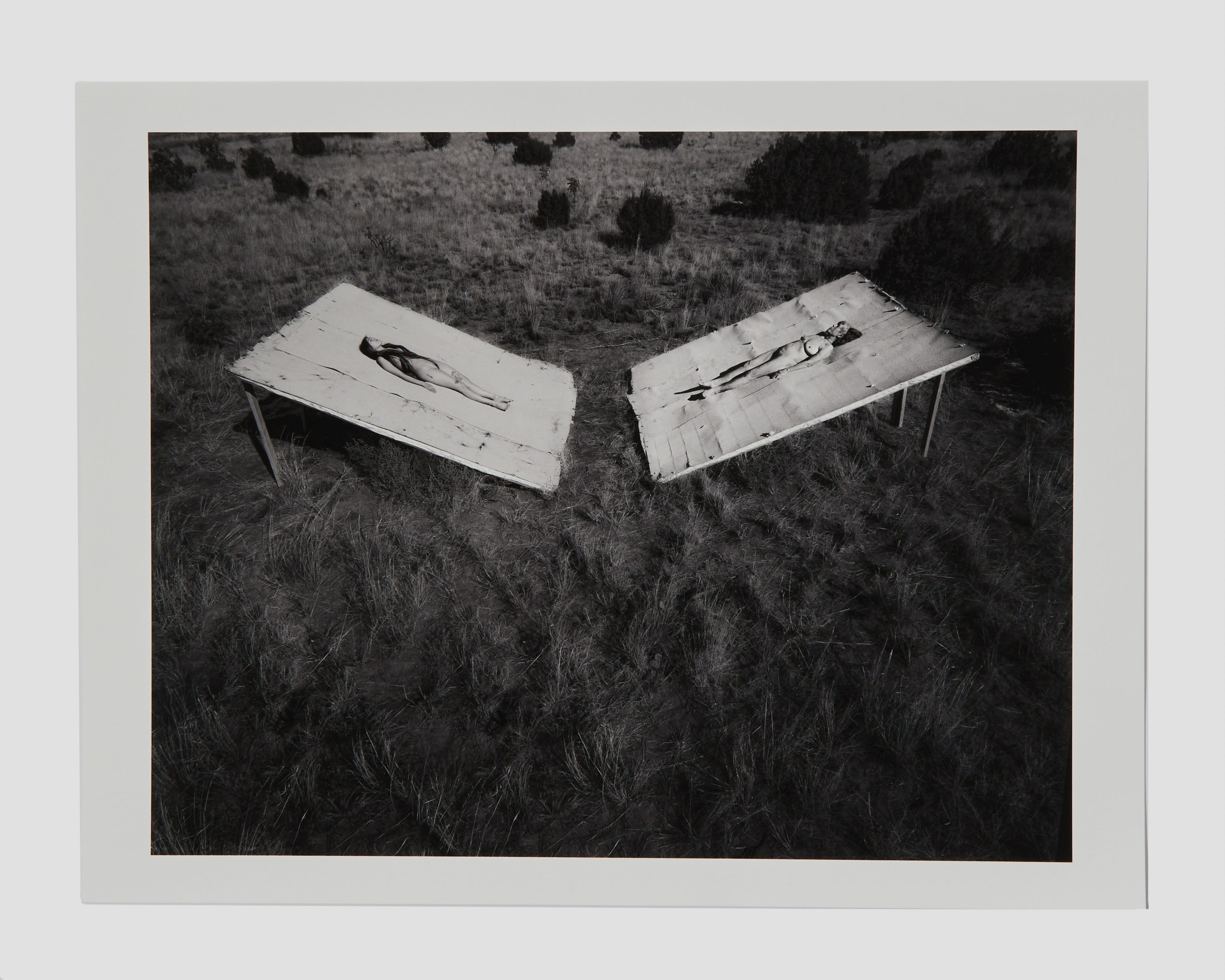 Two women lying in a field