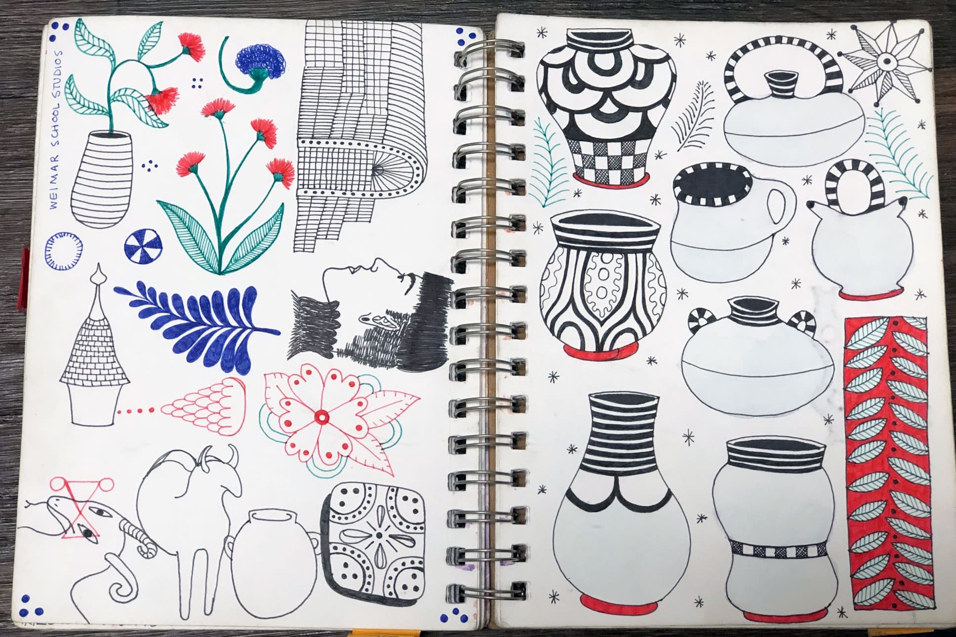 Sketchbook Illustration by Ceramicist Gabriela Gabo Martini