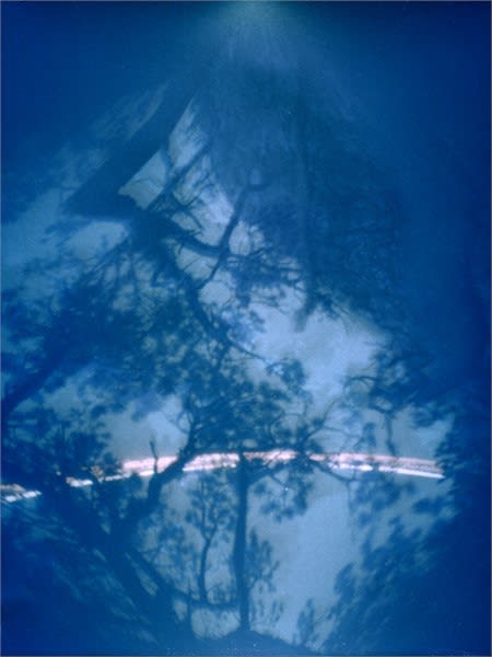 Pinhole Photograph by Matthew Mullins at Form & Concept Gallery