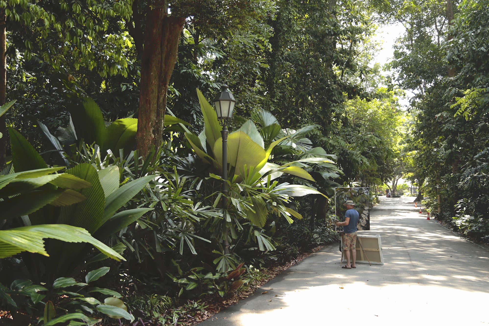 Gerard_Byrne_Jungle_Vibes_painting_permanent_art_collection_Singapore_Botanic_Gardens