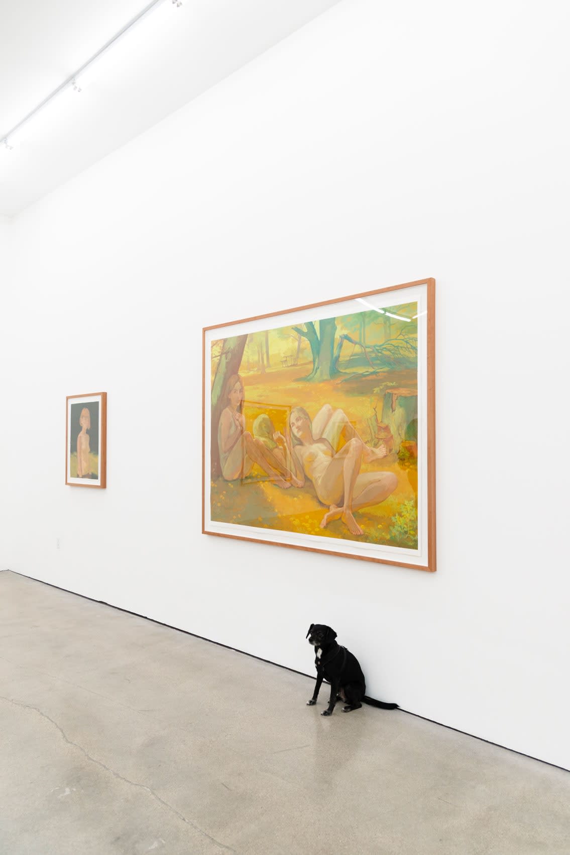 Meera, a small nervous black dog, sits on a concrete floor inside an art gallery with Rachel Gregor's framed paintings of evil teenage girls above her. 