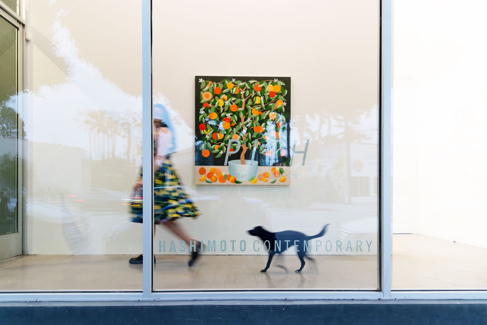 Photo of the front window at Hashimoto Contemporary Los Angeles with someone walking by with a small black dog