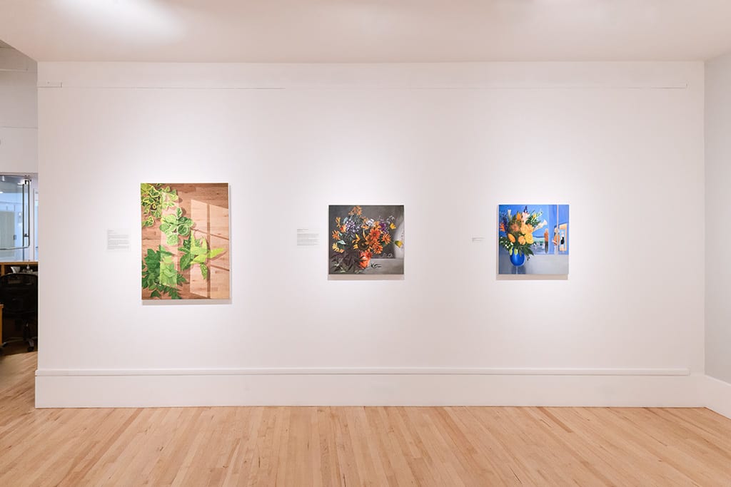 Installation of view of works by Natalia Juncadella.