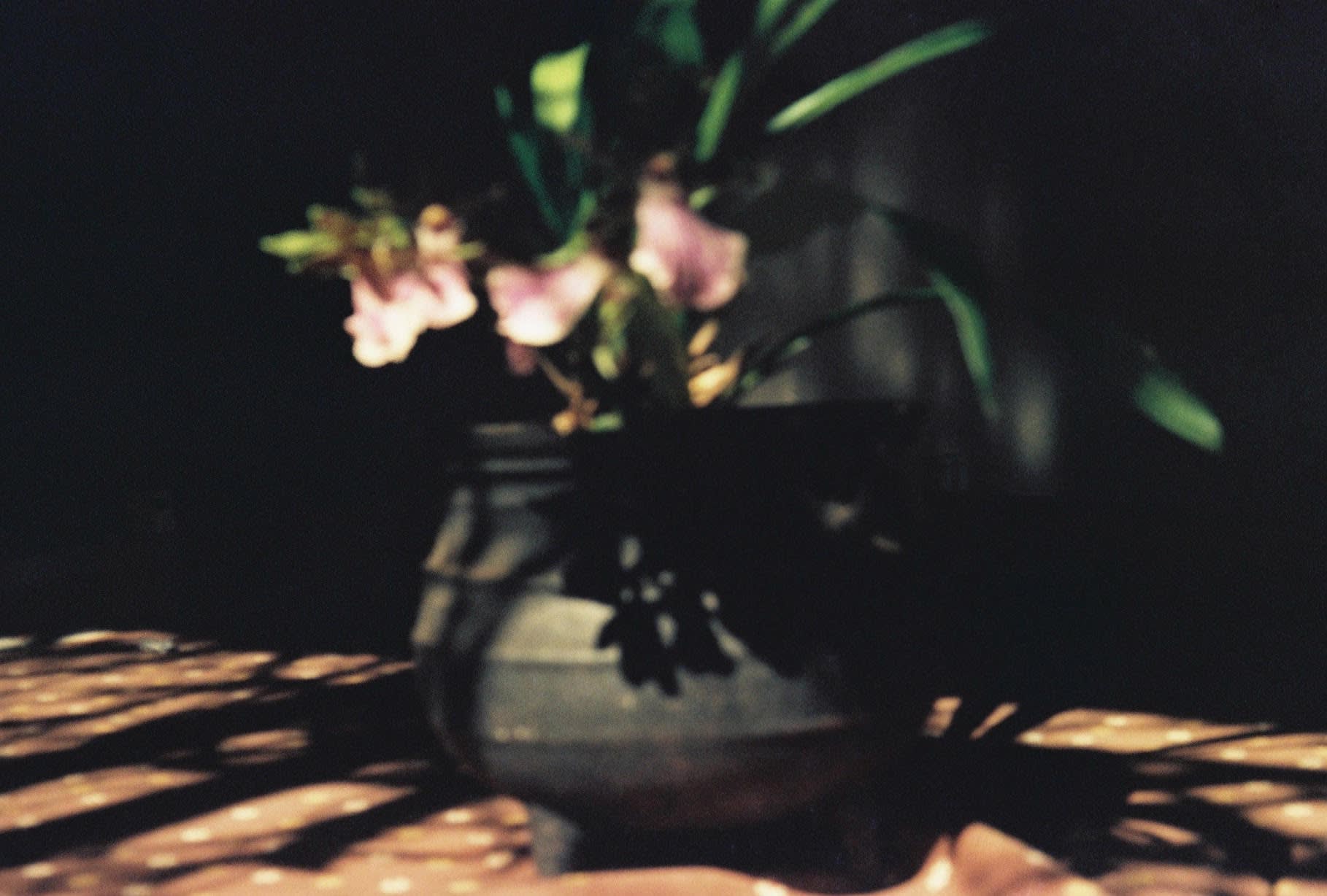 flowers in a black pot