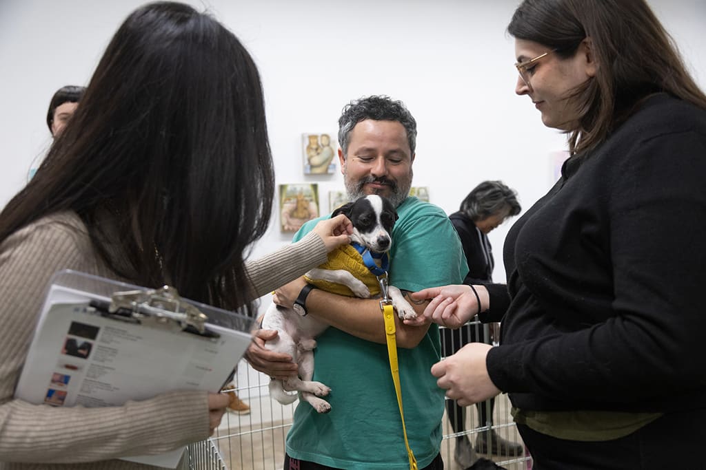 Photo from the opening reception of the group exhibition 