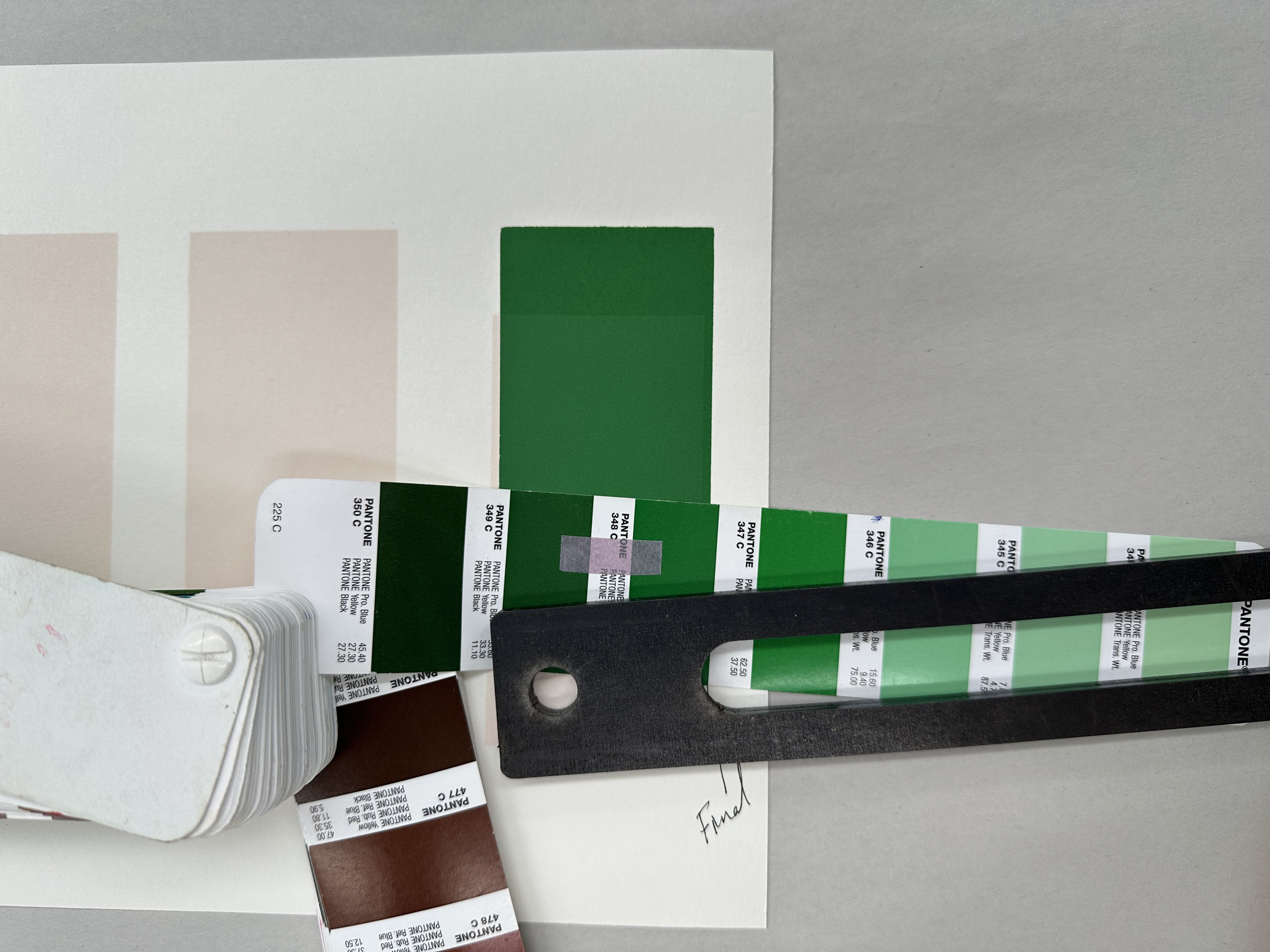 Color swatches used to create Jillian Evelyn's print Adoration