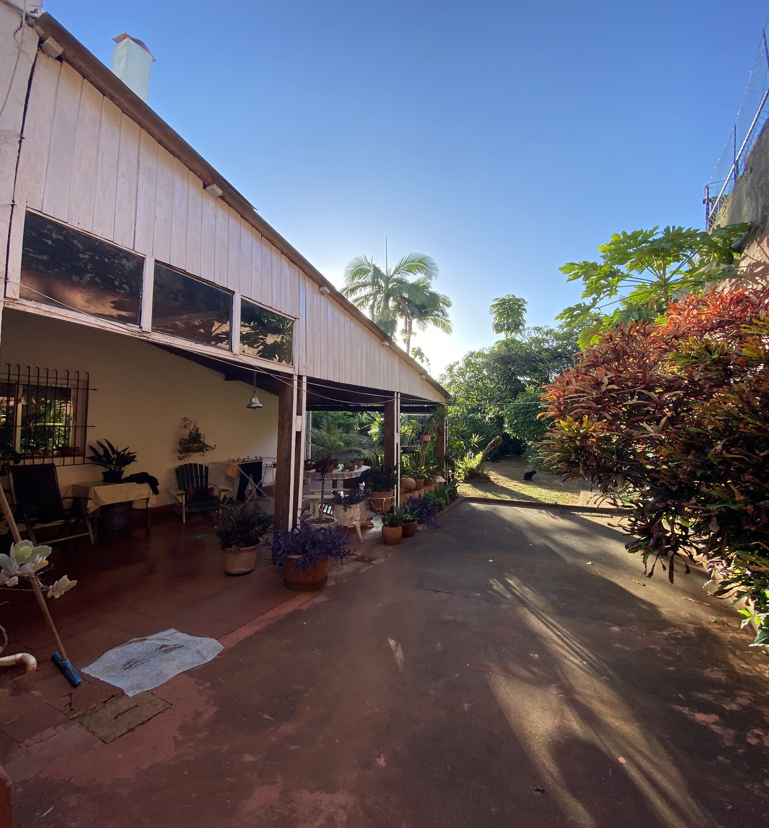 a side yard in Argentina 