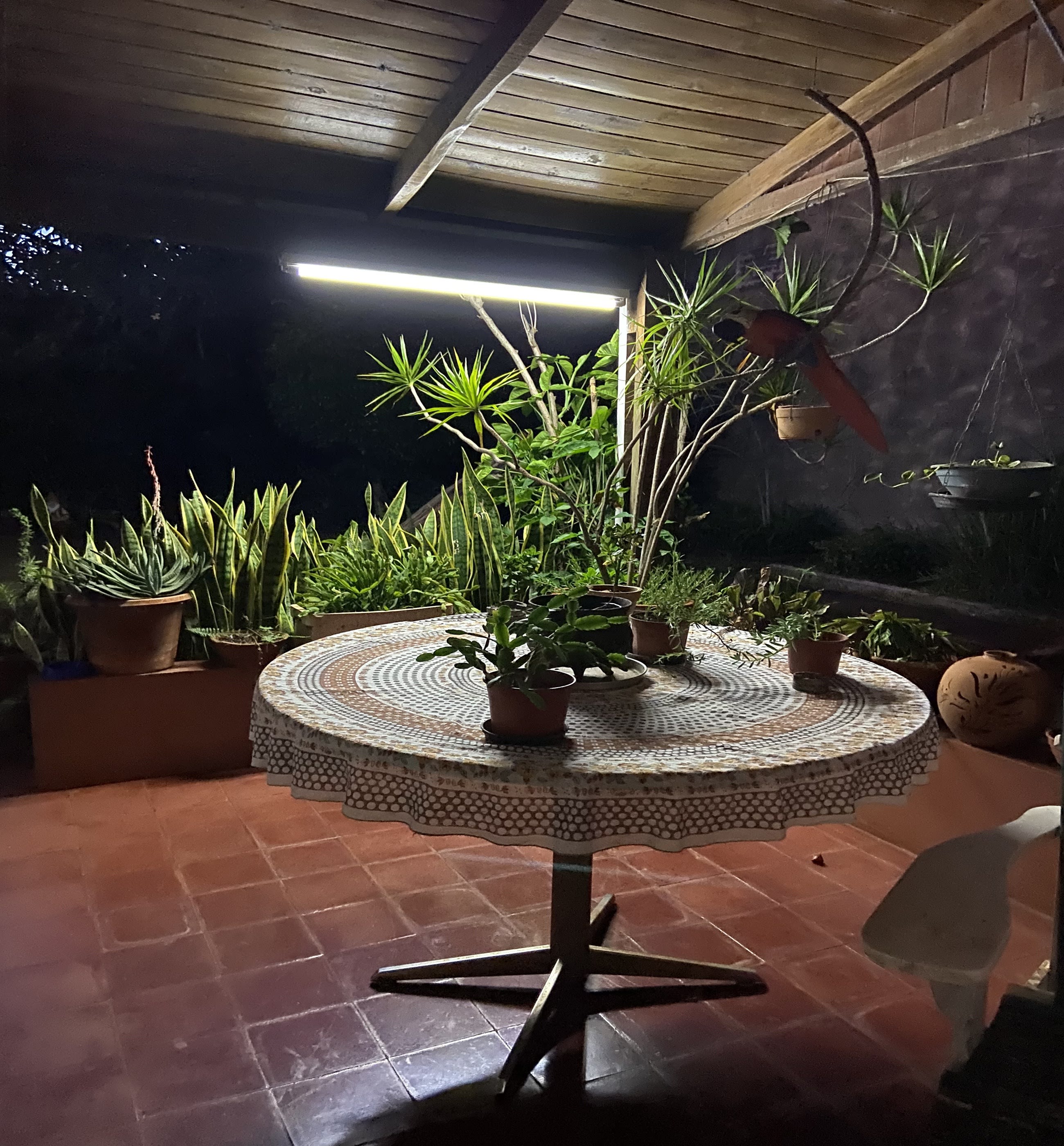 a table with flowers on it 