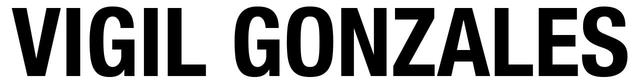 VIGIL GONZALES galería company logo